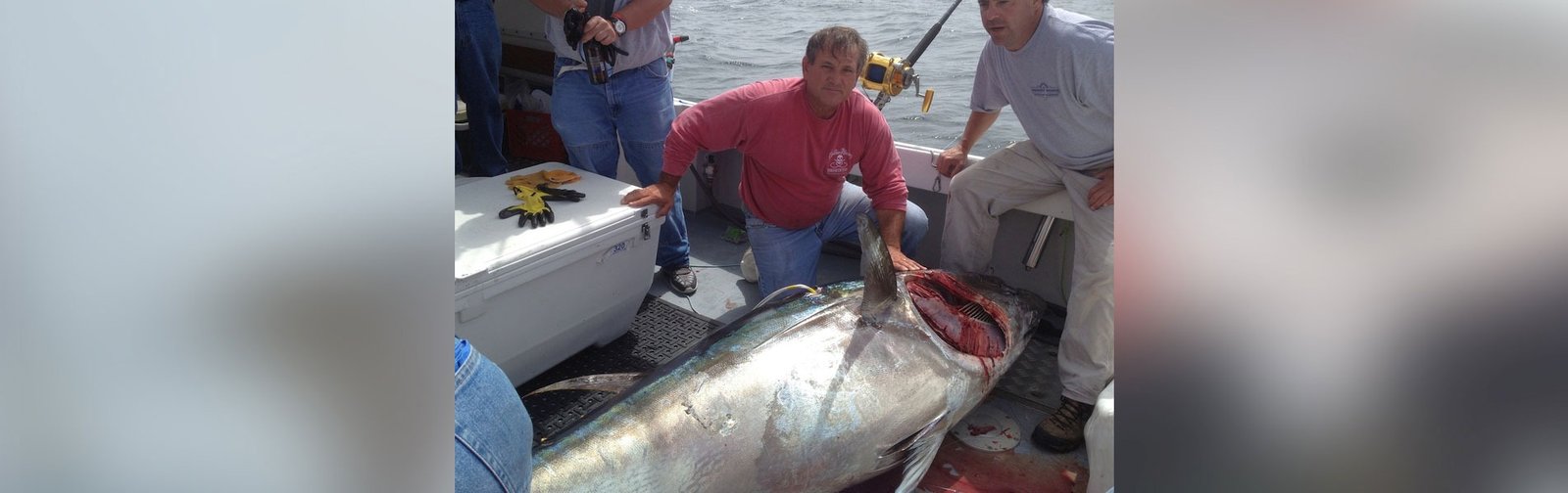 Time on the water from a working guide's operation, photographed by Elizabeth Marie Sport Fishing in MA