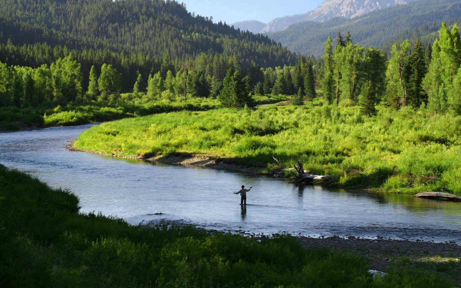 Feathered Hook on the water in Wyoming