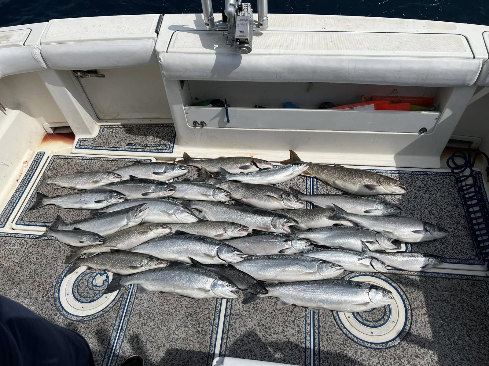 A guide at work during a trip, photographed by Feelin Fishy Sport Fishing in WI