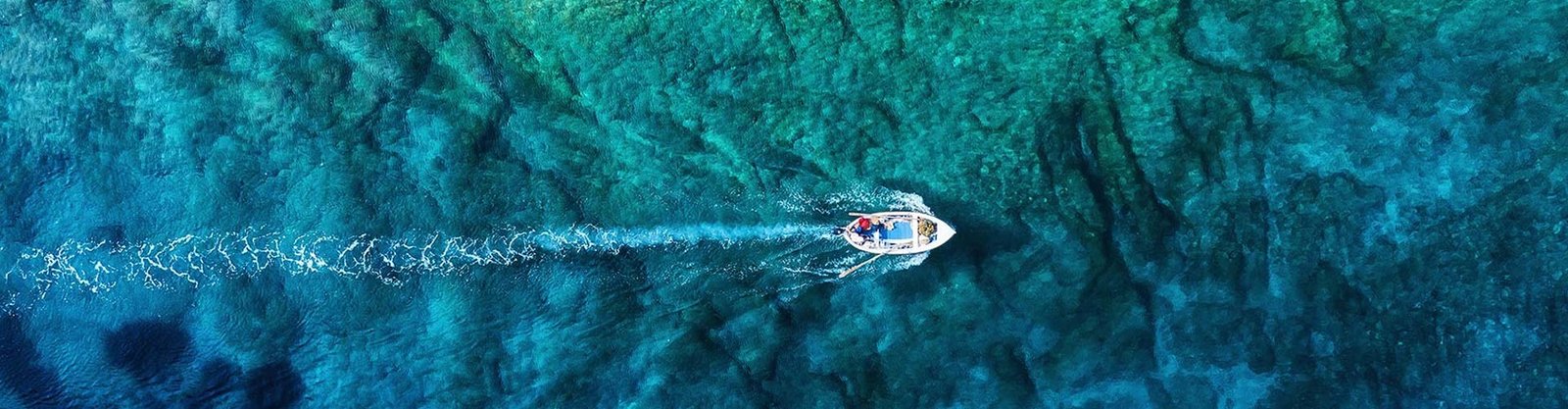The job of guiding, mid-trip, photographed by Fishing Guide Tampa Bay in FL