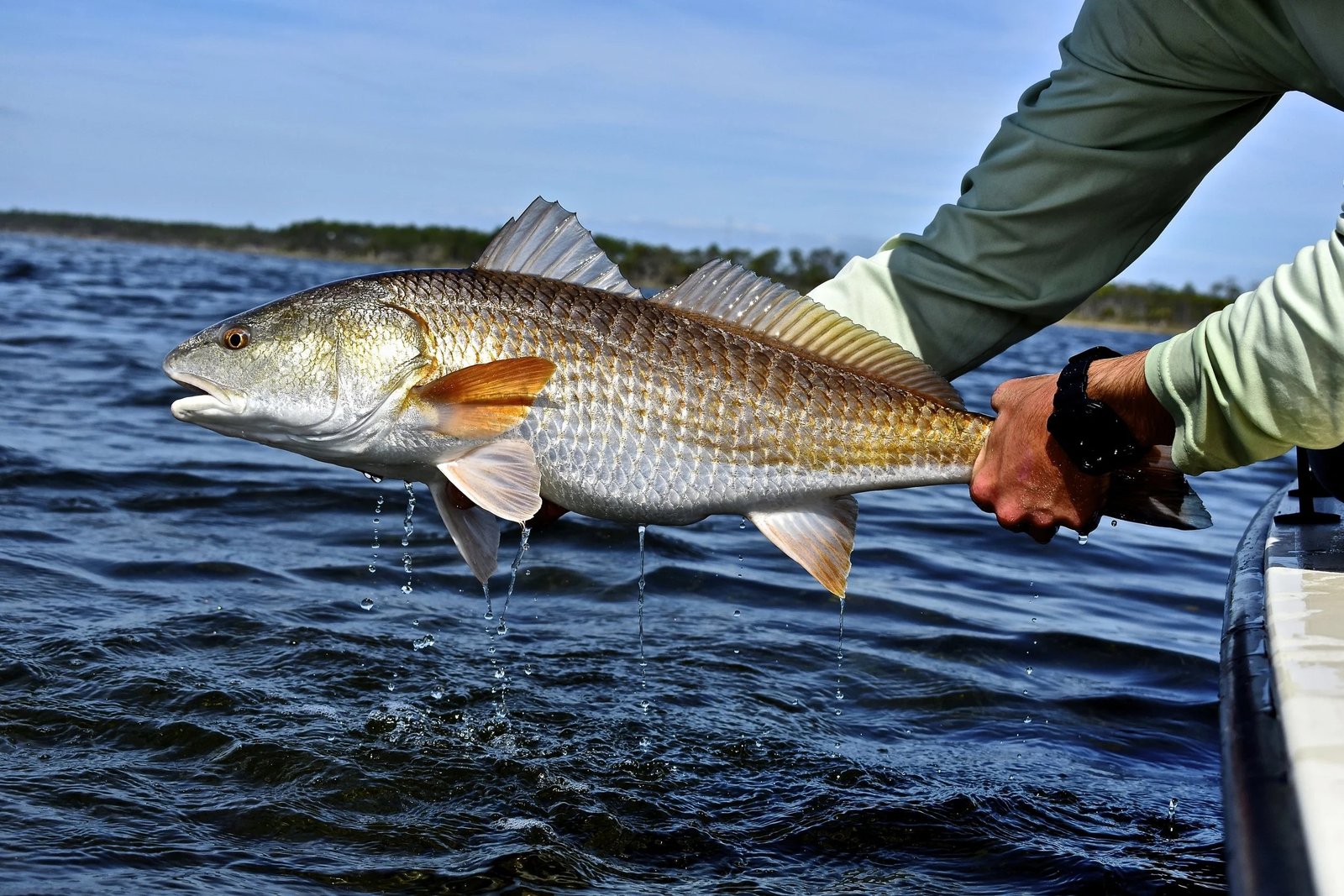 On the Shell Point, photographed by Fly 98 Guide Service