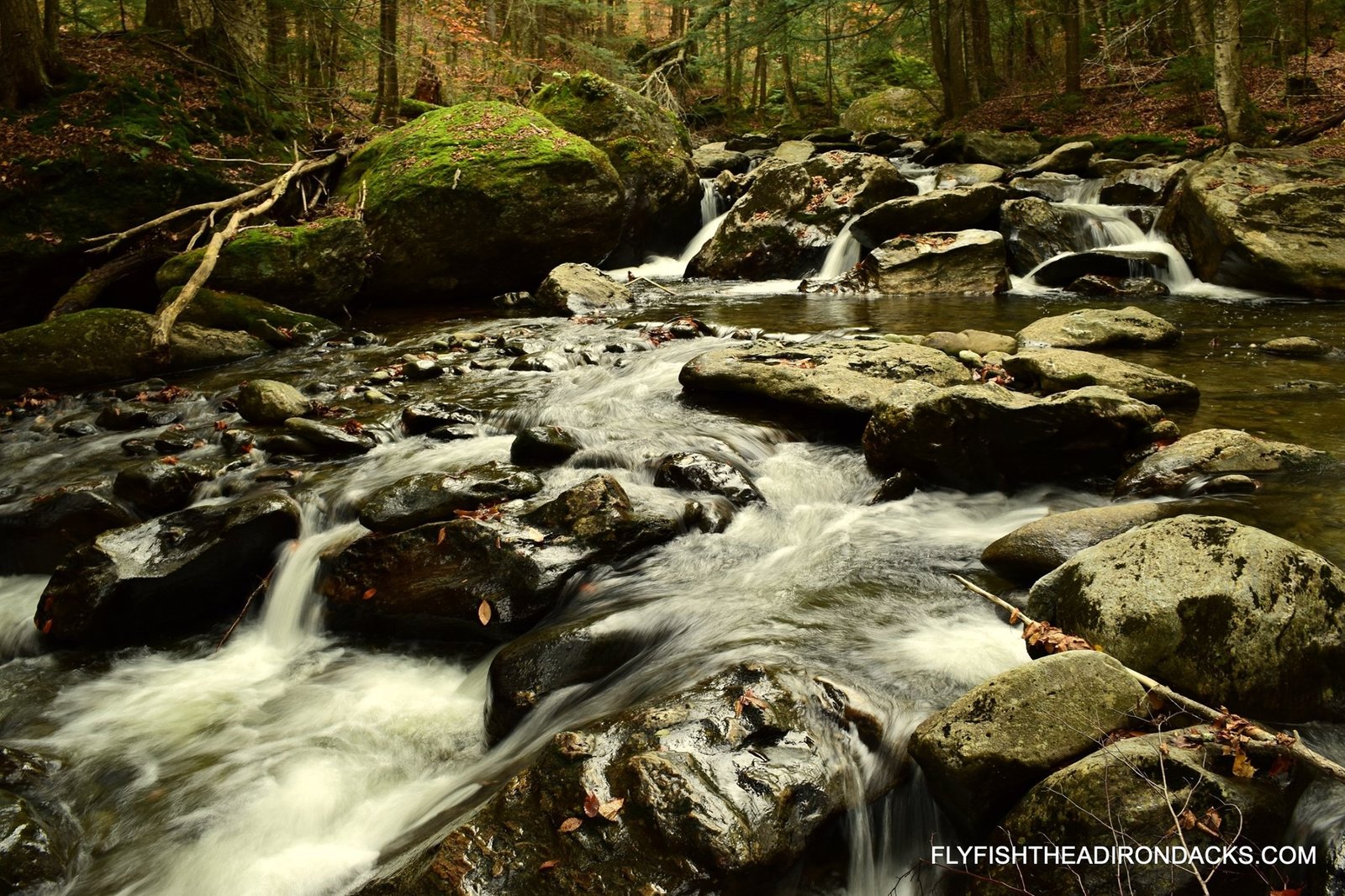 A guide working with a client on the water, photographed by Fly Fish The Adirondacks in NY