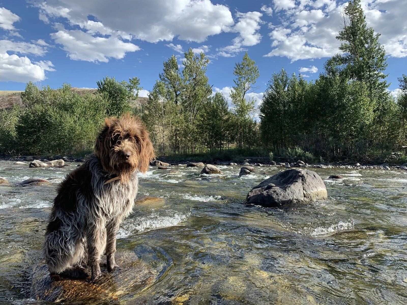 The working end of a guided day, photographed by Fly Fishing Only Adventures in MT