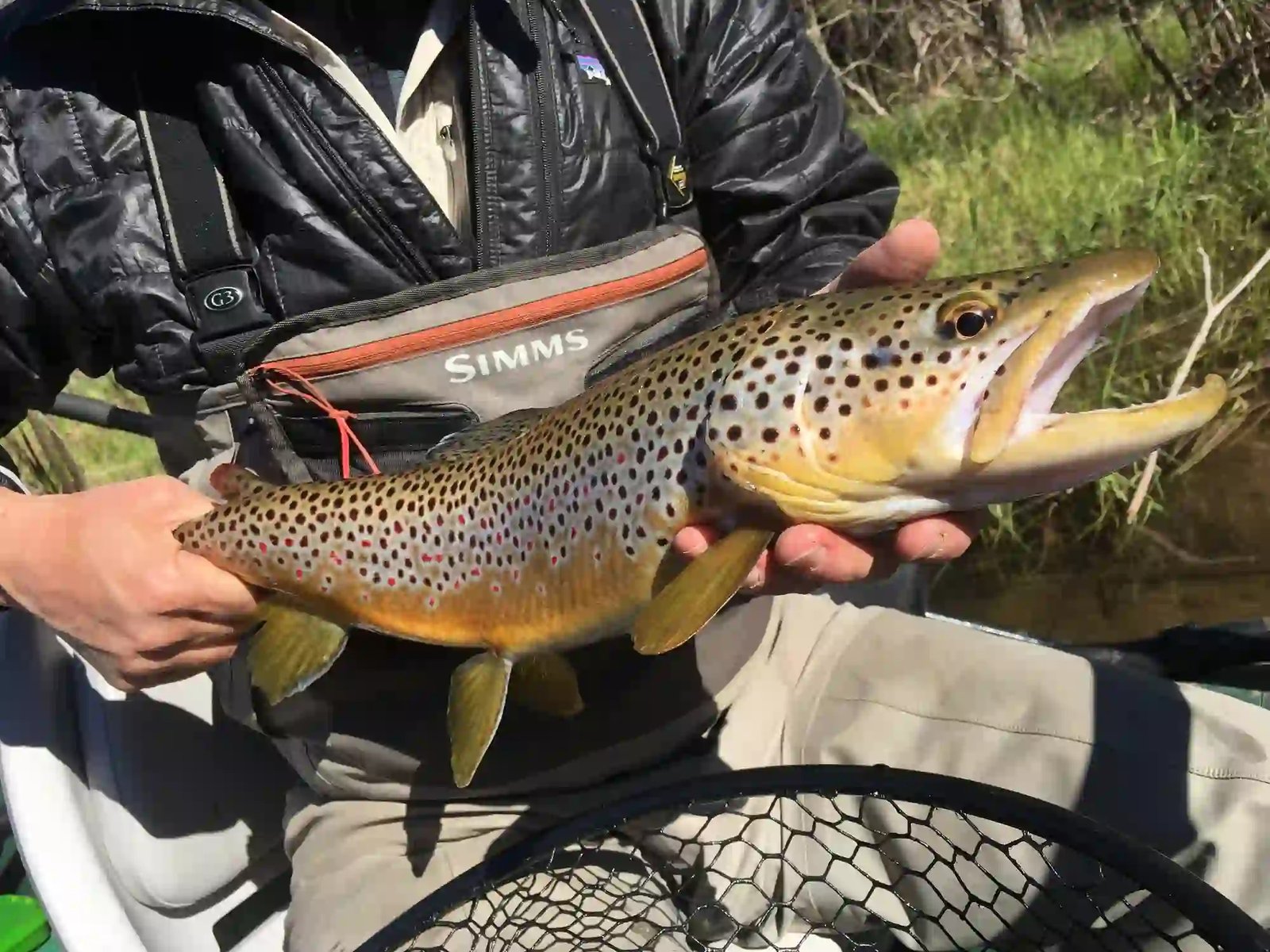 The working end of a guided day, photographed by Fresh Coast Fly in MI