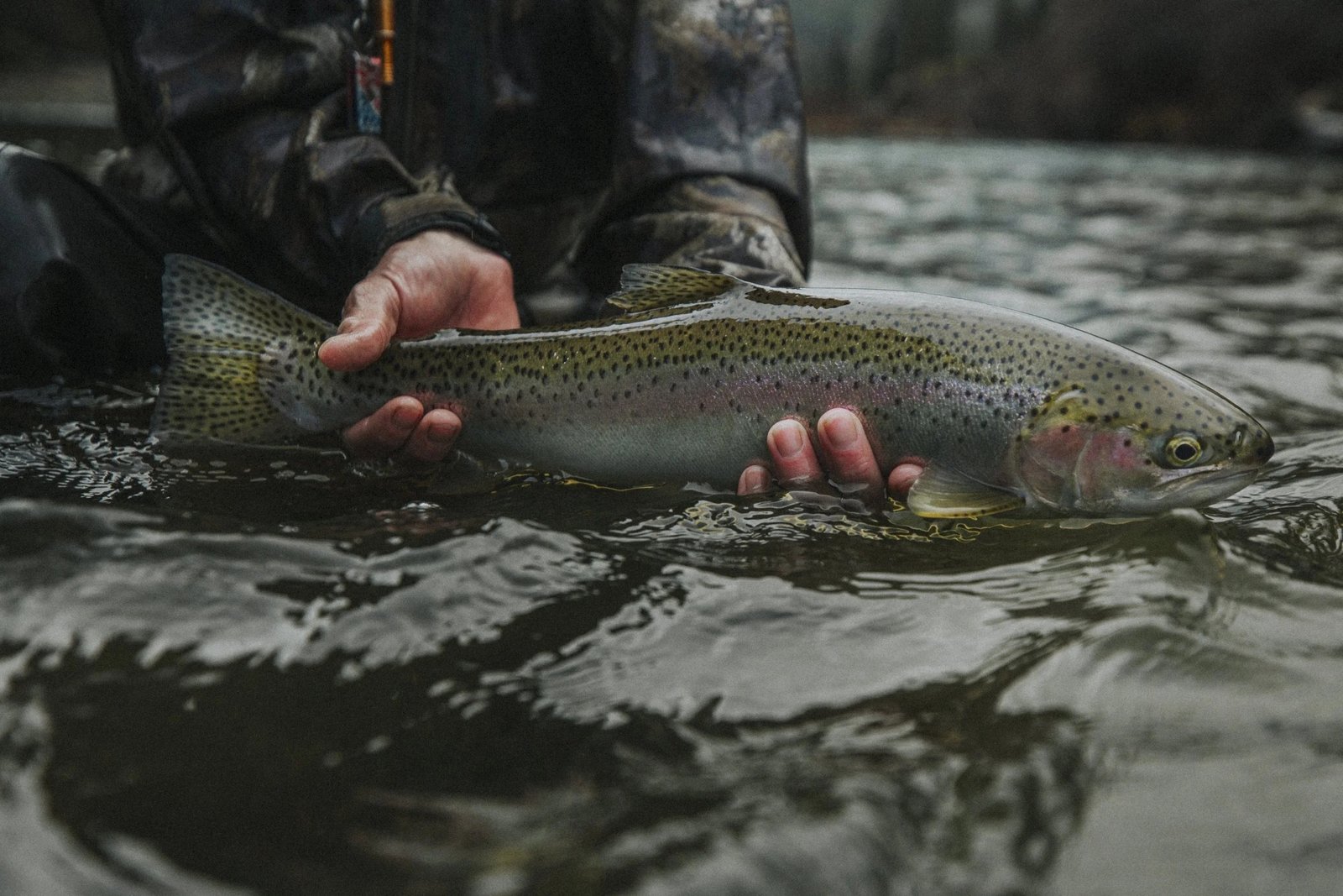 A guide and client fishing together, photographed by Grunt Fly Fishing in CA