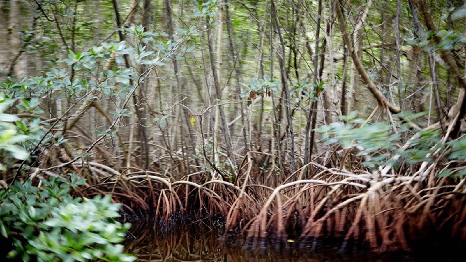 An on-the-water scene from a working guide operation, photographed by Hook 1 Charters in FL