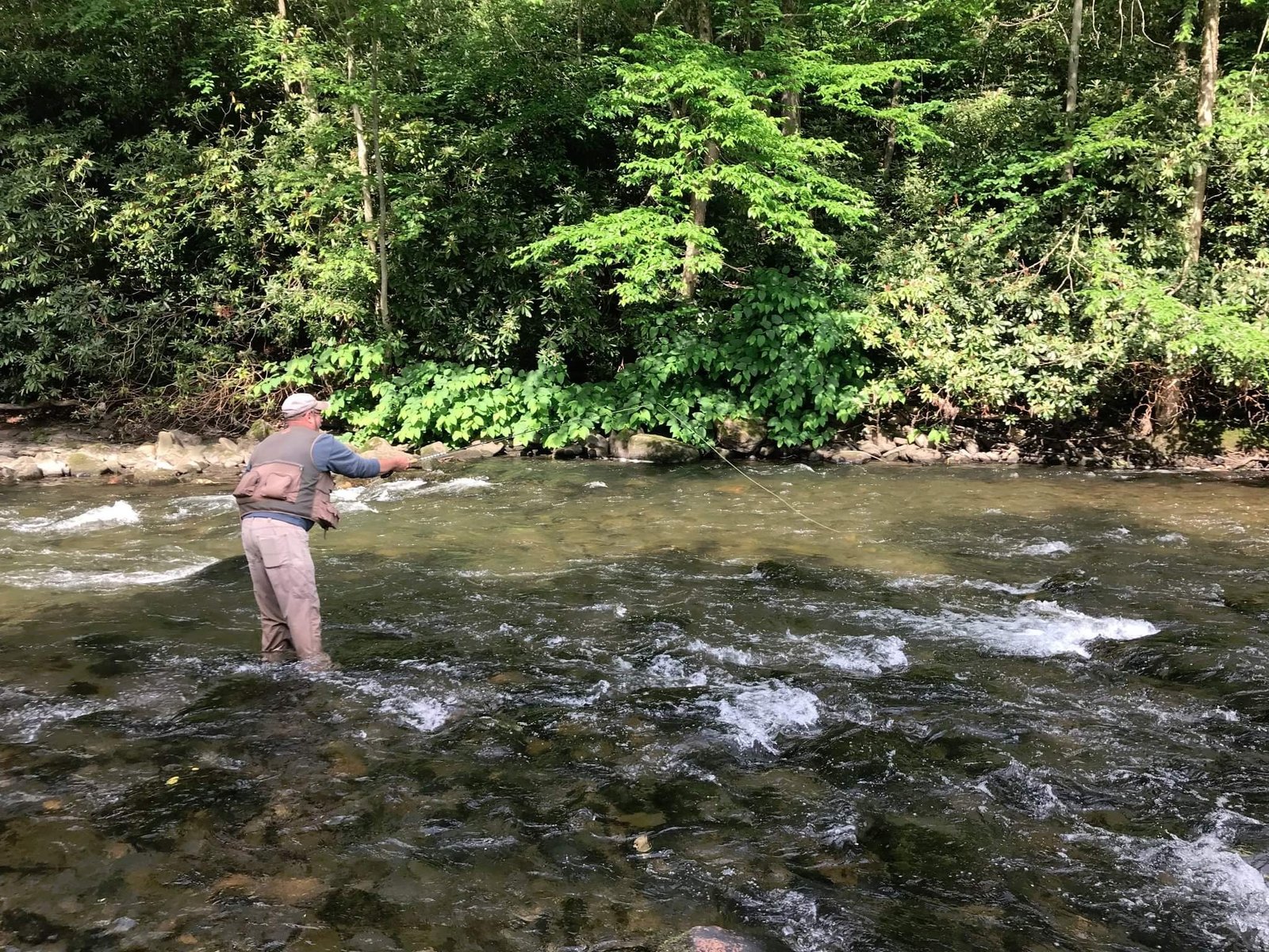 On the Bowman's Creek, photographed by Joe Ackourey Fly Fishing Adventures