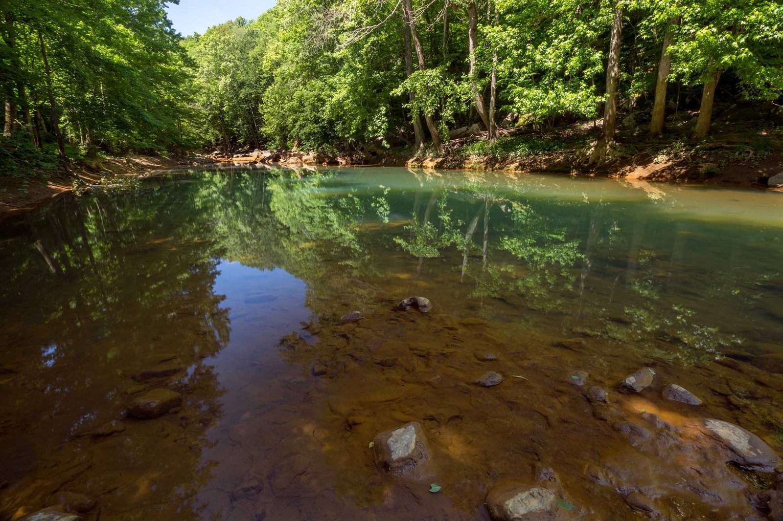 The working end of a guided day, photographed by JW Fly Co in TN