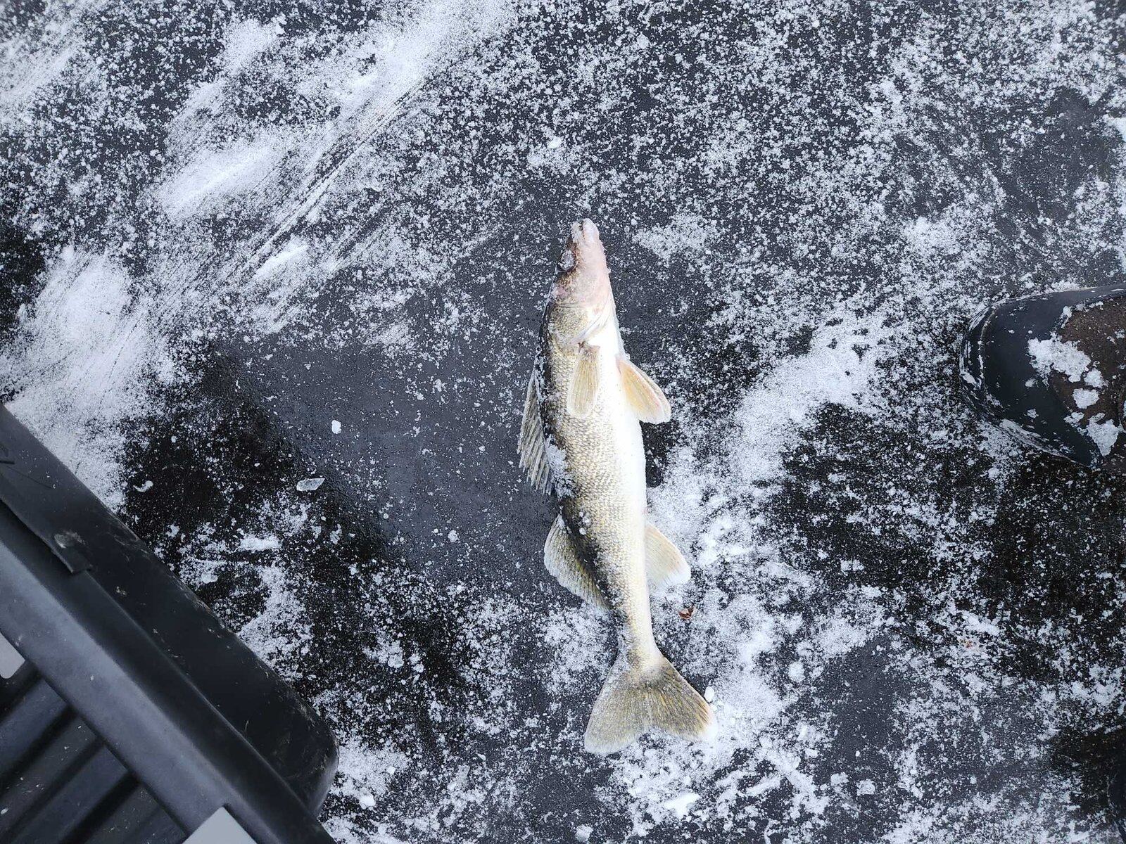 On the Lynn Creek, photographed by Keep It Reelin Guide Service