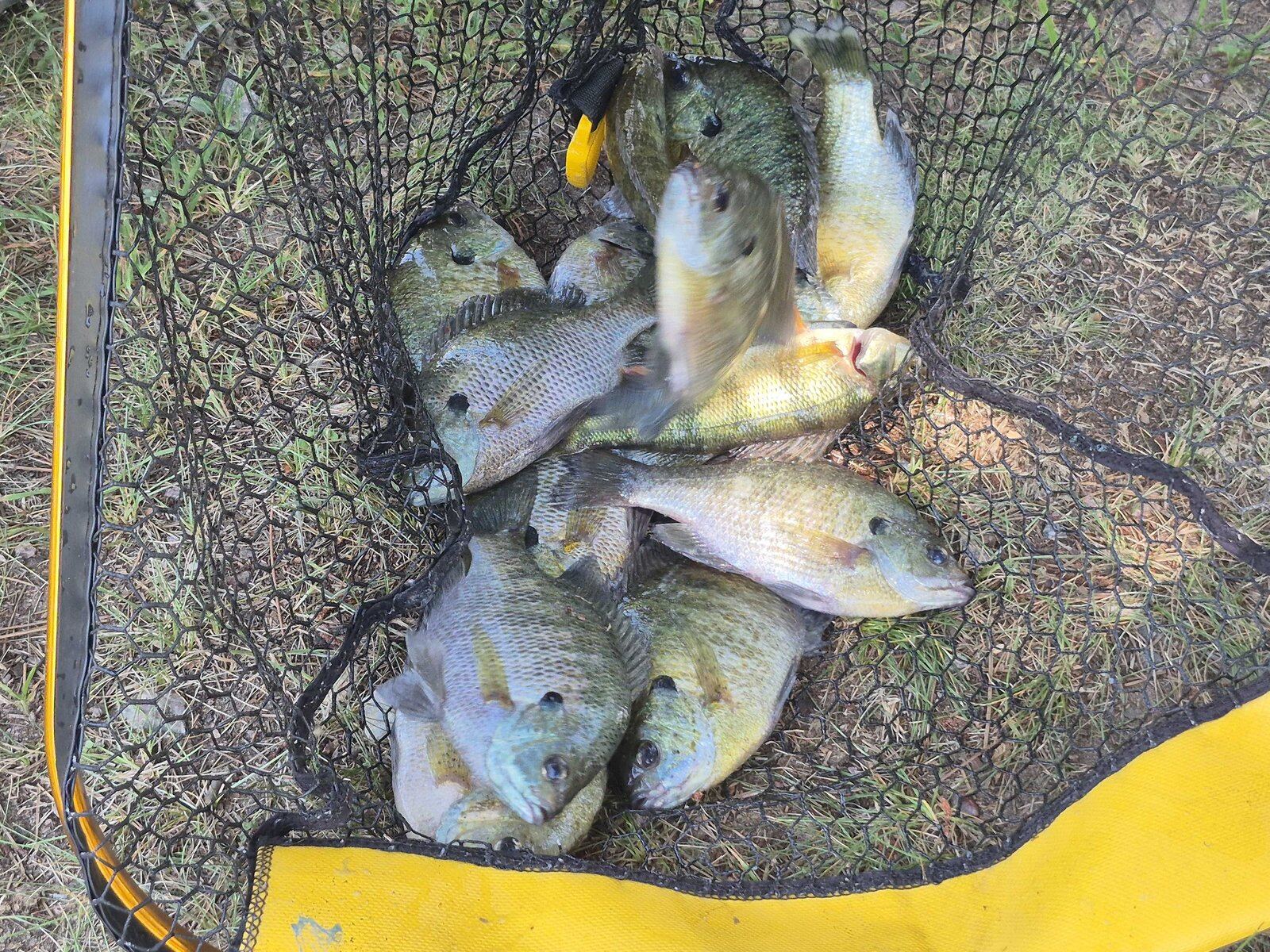 Keep It Reelin Guide Service on the water in Wisconsin