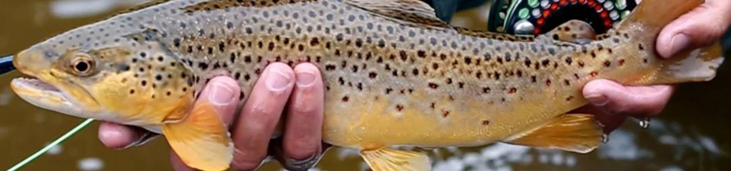 Kelly Outfitters on the water in Arizona