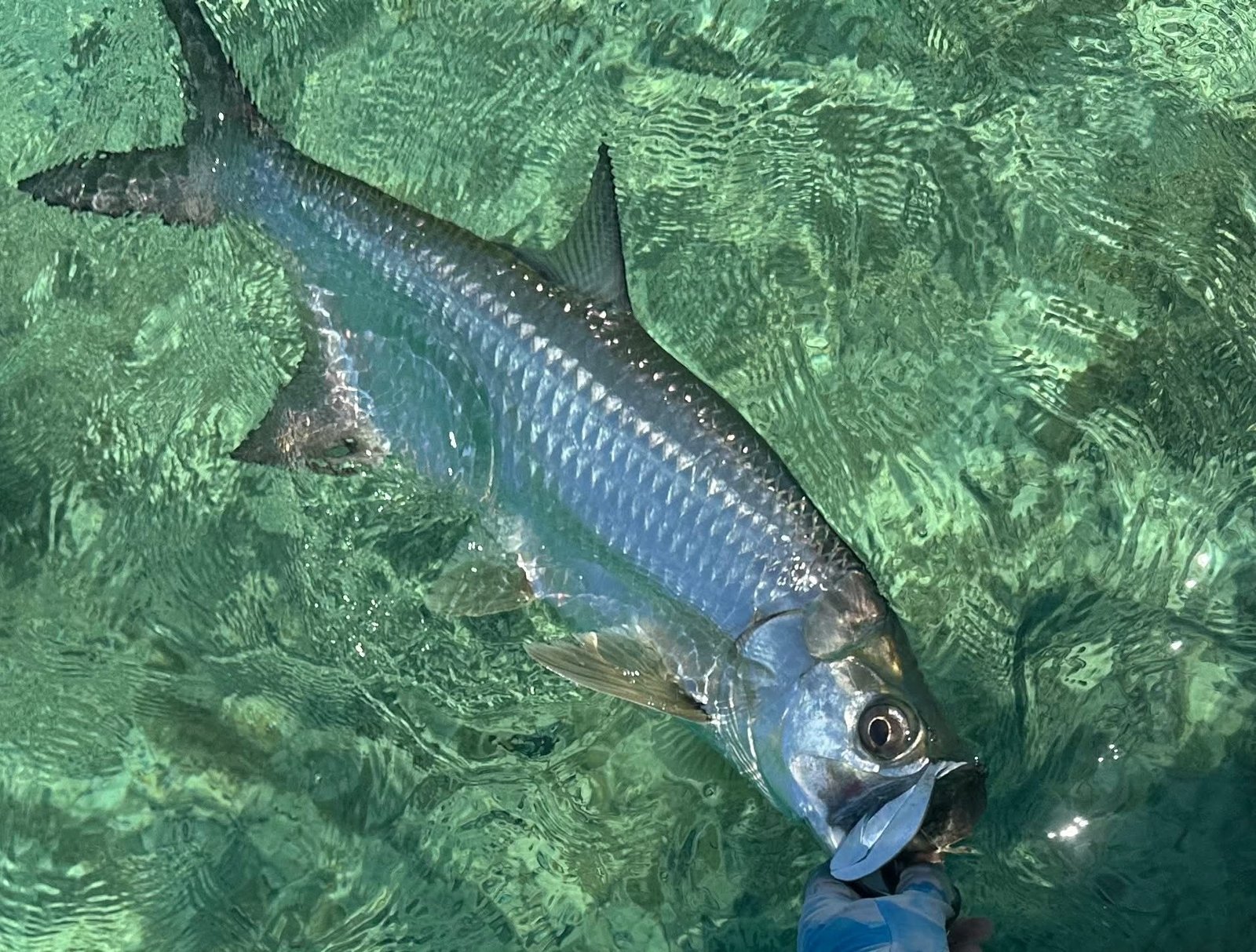 On the Marquesas, photographed by Key West Fly Fishing