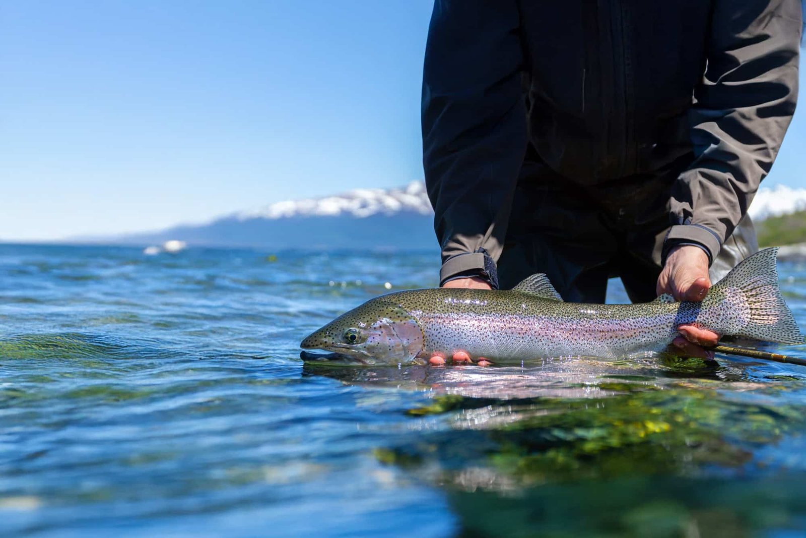 A guide working with a client on the water, photographed by King Salmon Lodge in AK