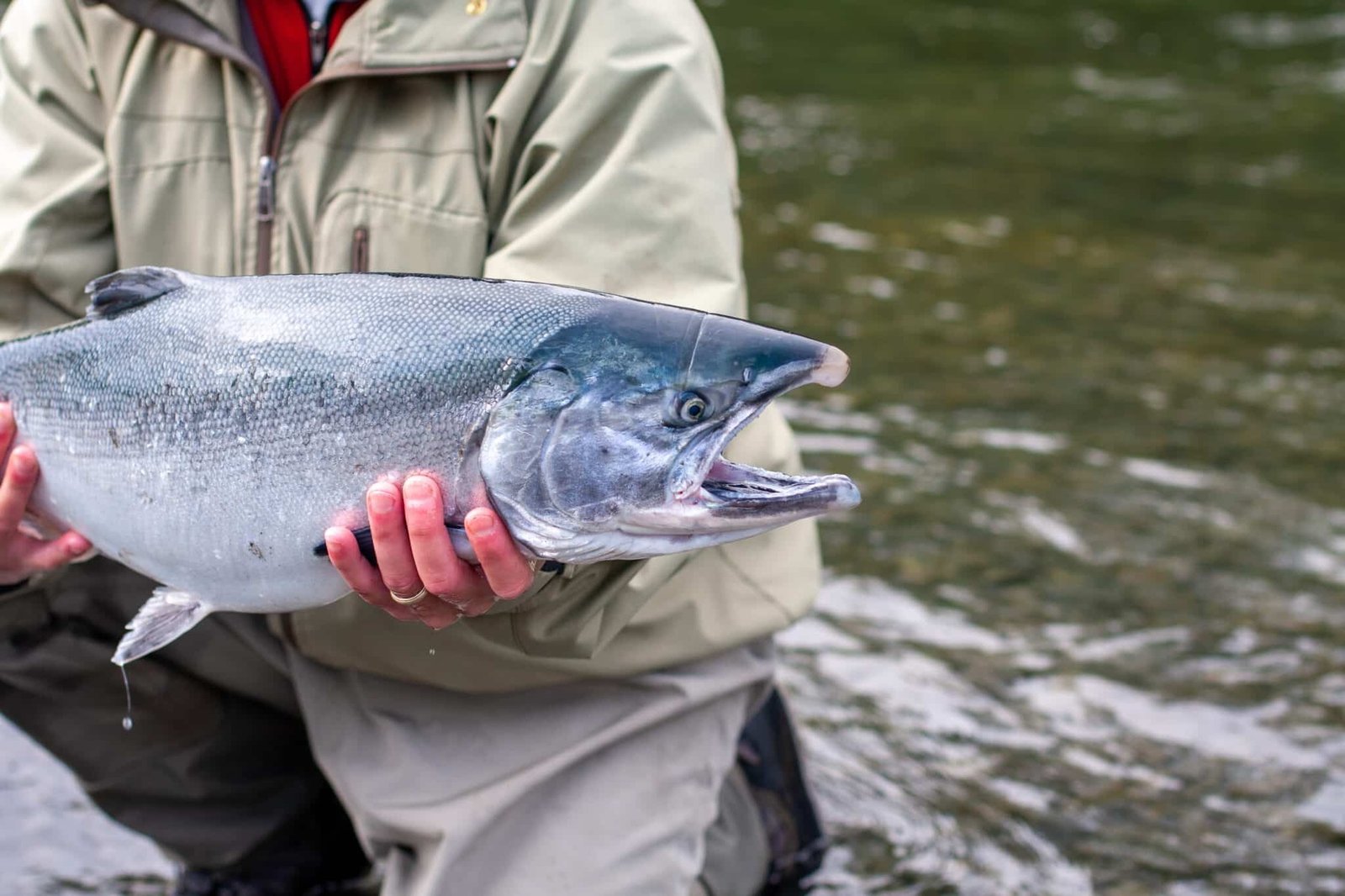 A guide working with a client on the water, photographed by Kodiak Sportsman's Lodge in AK