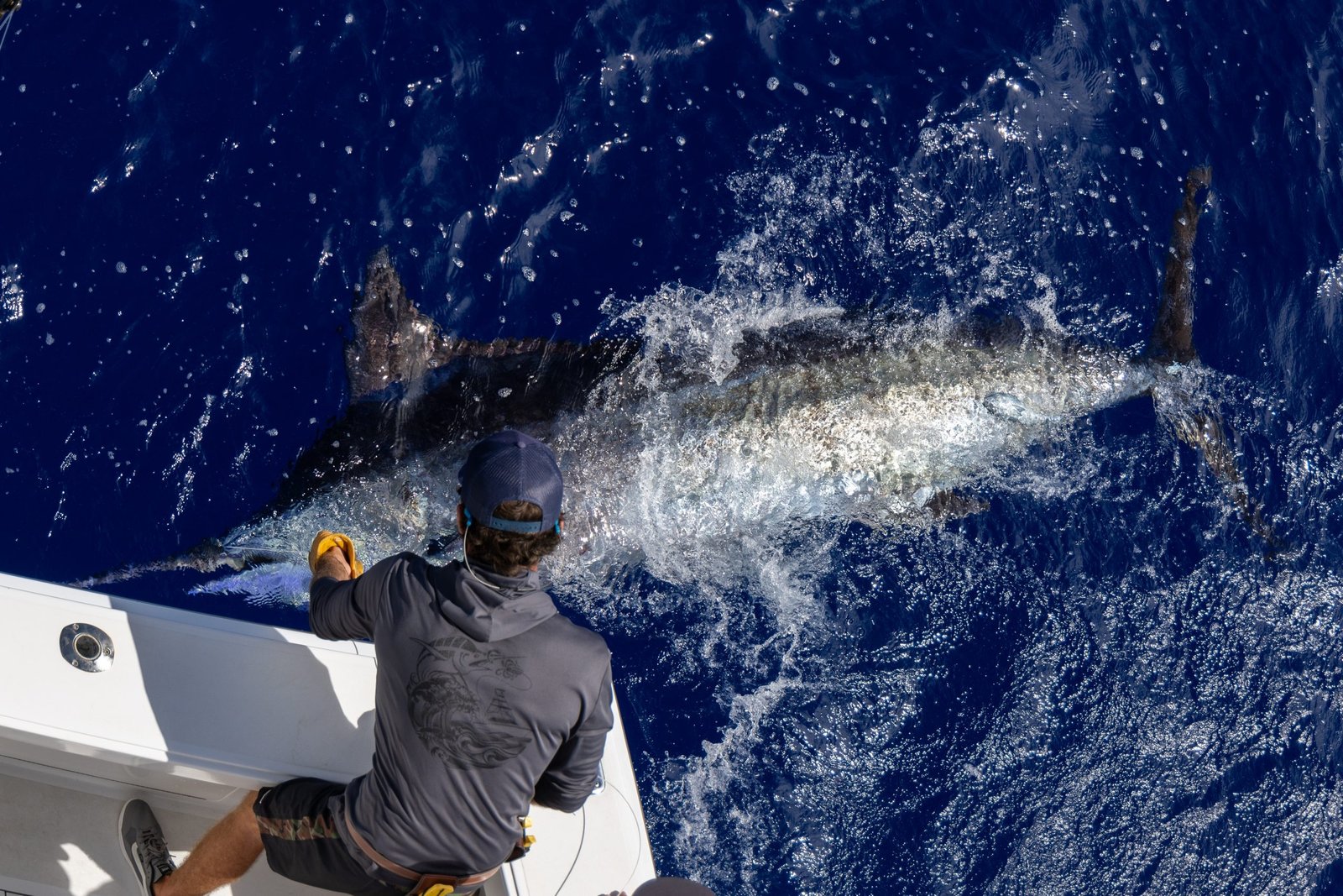 A guide at work during a trip, photographed by Kraken Fish Co. in HI