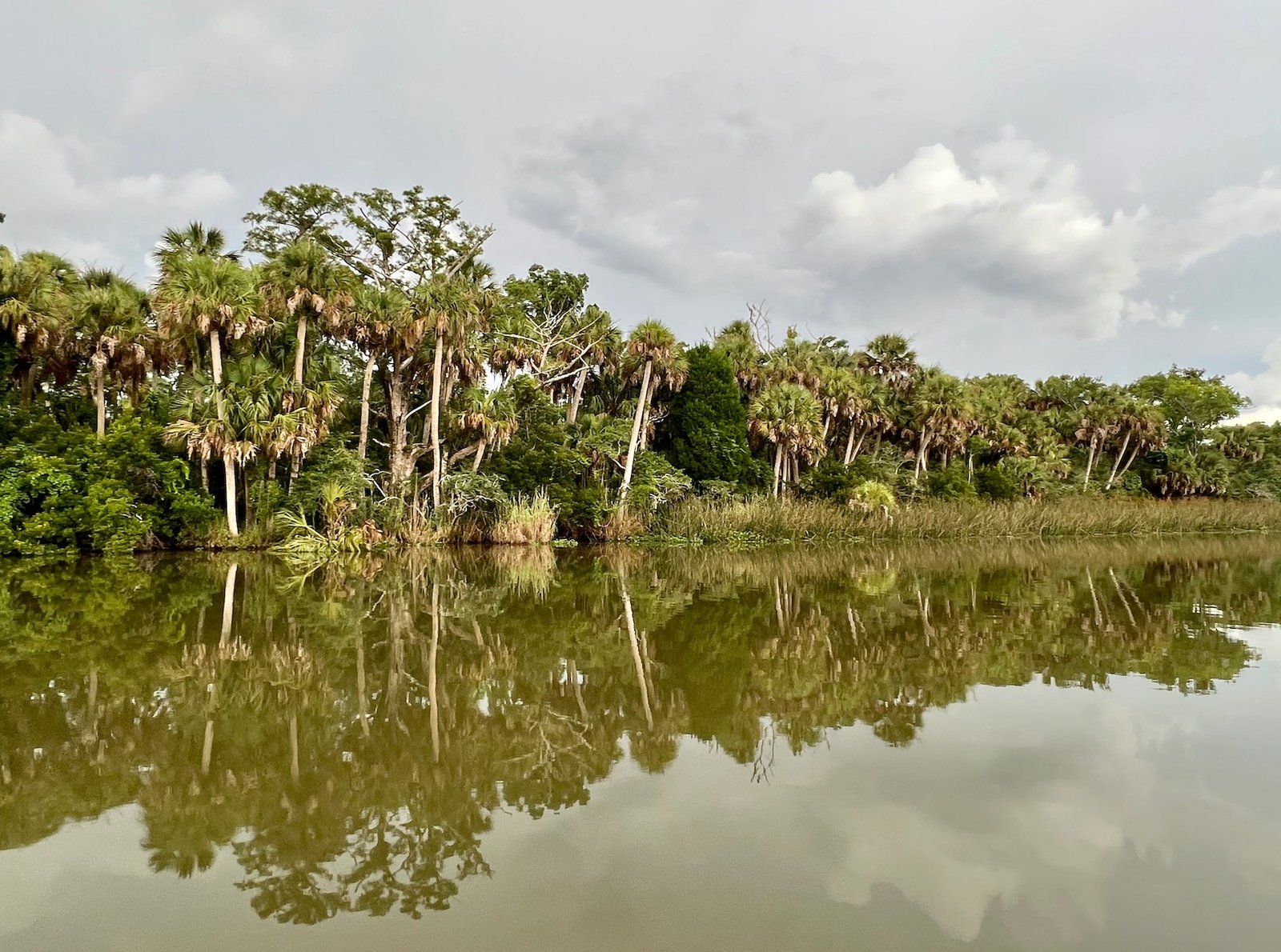 On the Dog Island, photographed by Lady Guide Fly Fishing
