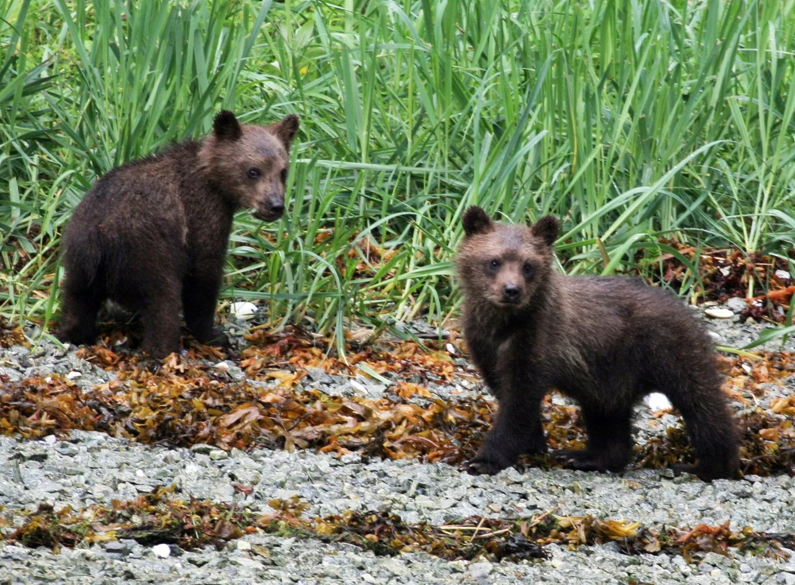 A guide working with a client on the water, photographed by Lisianski Inlet Lodge & Charters in AK