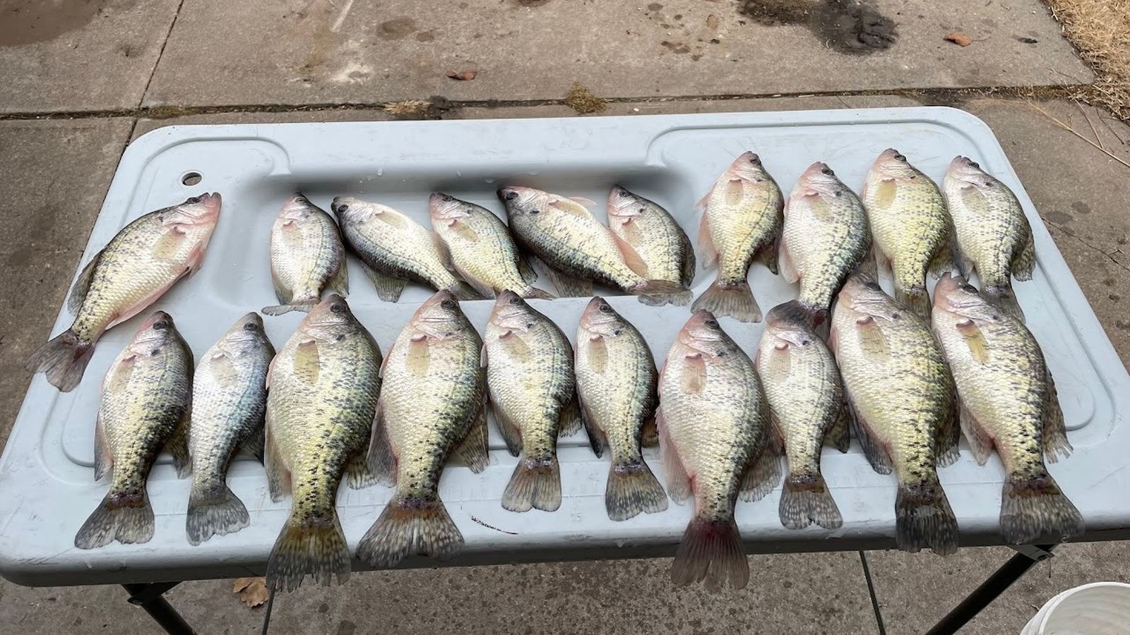Livin Water Fishing on the water in Kansas