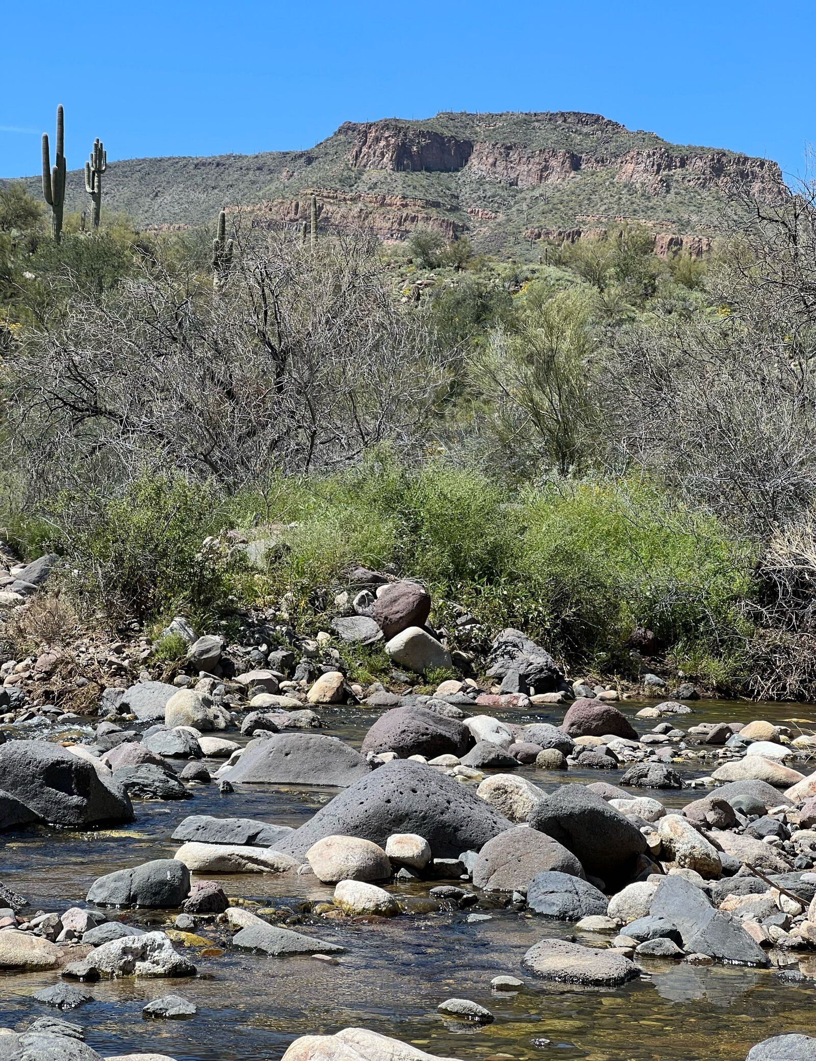 On the Cave Creek, photographed by Lo Water Guide Service