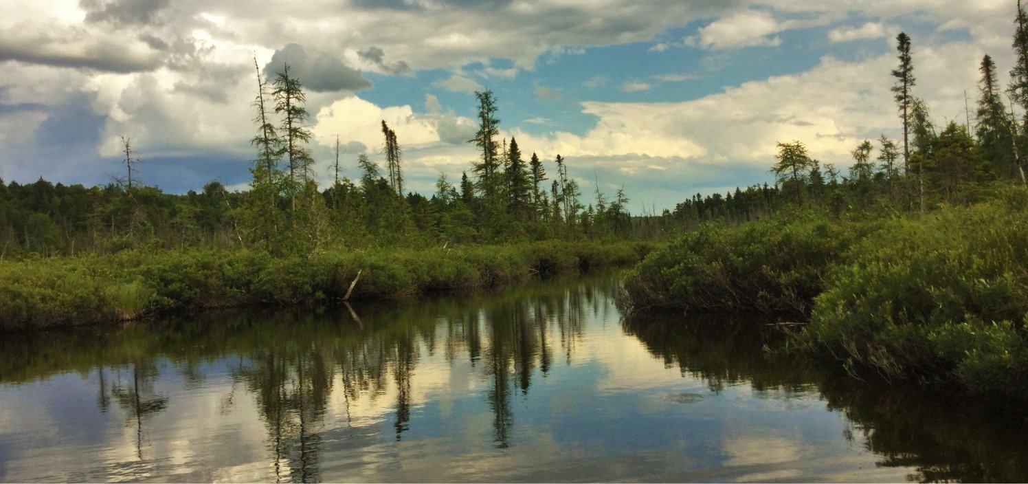 The working end of a guided day, photographed by Loon Lodge Maine in ME