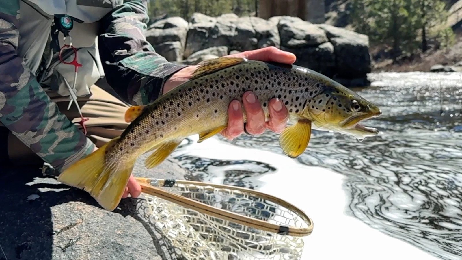Lost Sierra Fly Guide on the water in California