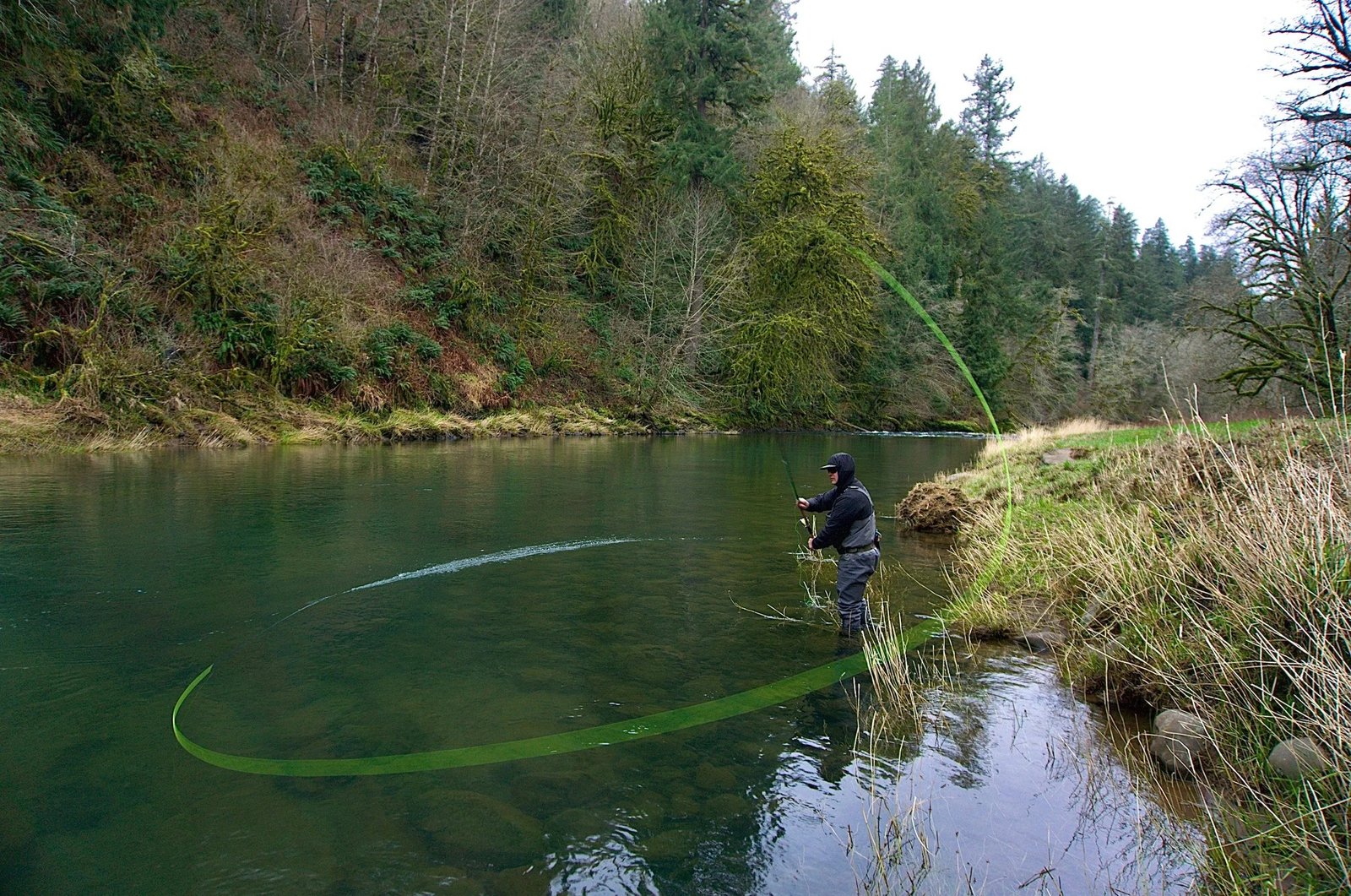 March Brown Guide Service LLC on McKenzie River
