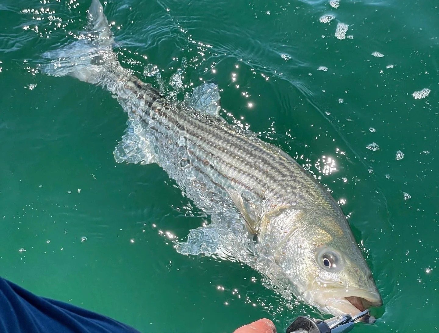 On the Squibnocket, photographed by Martha's Vineyard Outfitters
