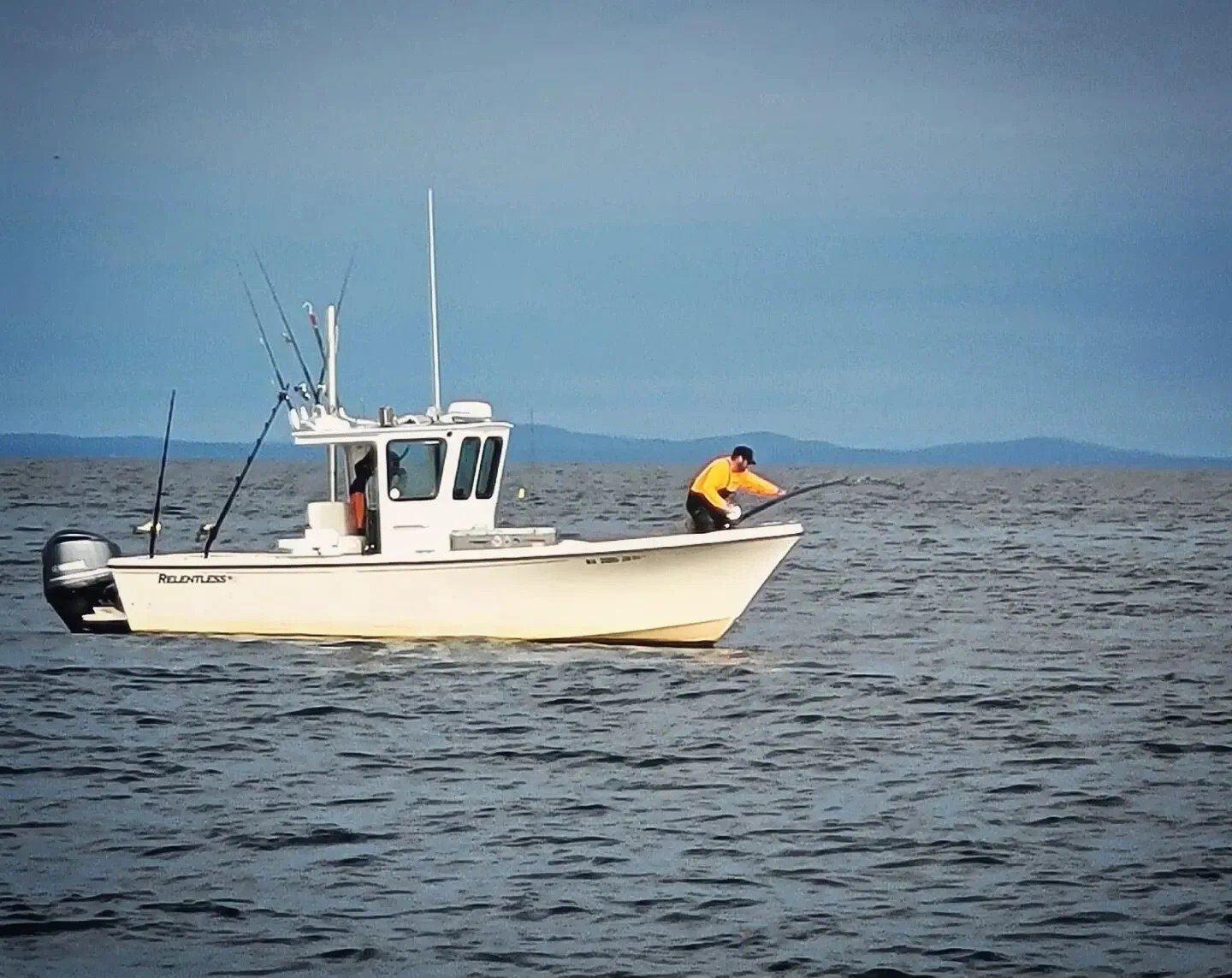 The working end of a guided day, photographed by Mass Charter Fishing in MA