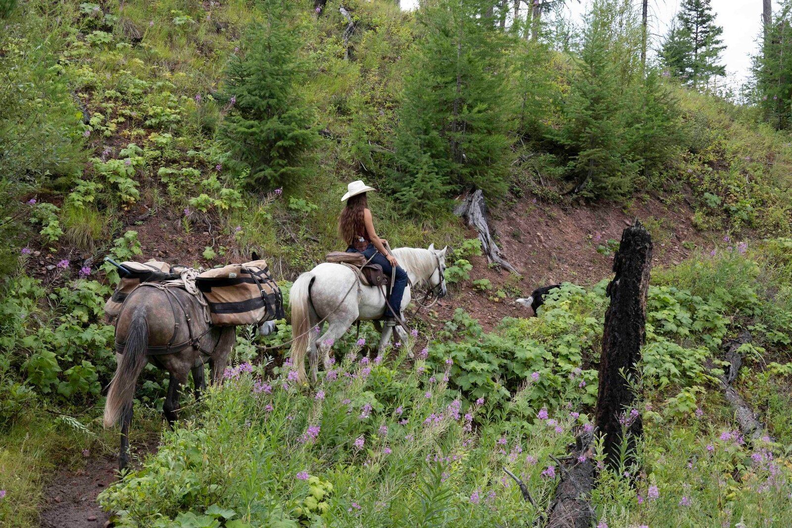 Montana Wilderness Lodge & Outfitting on the water in Montana