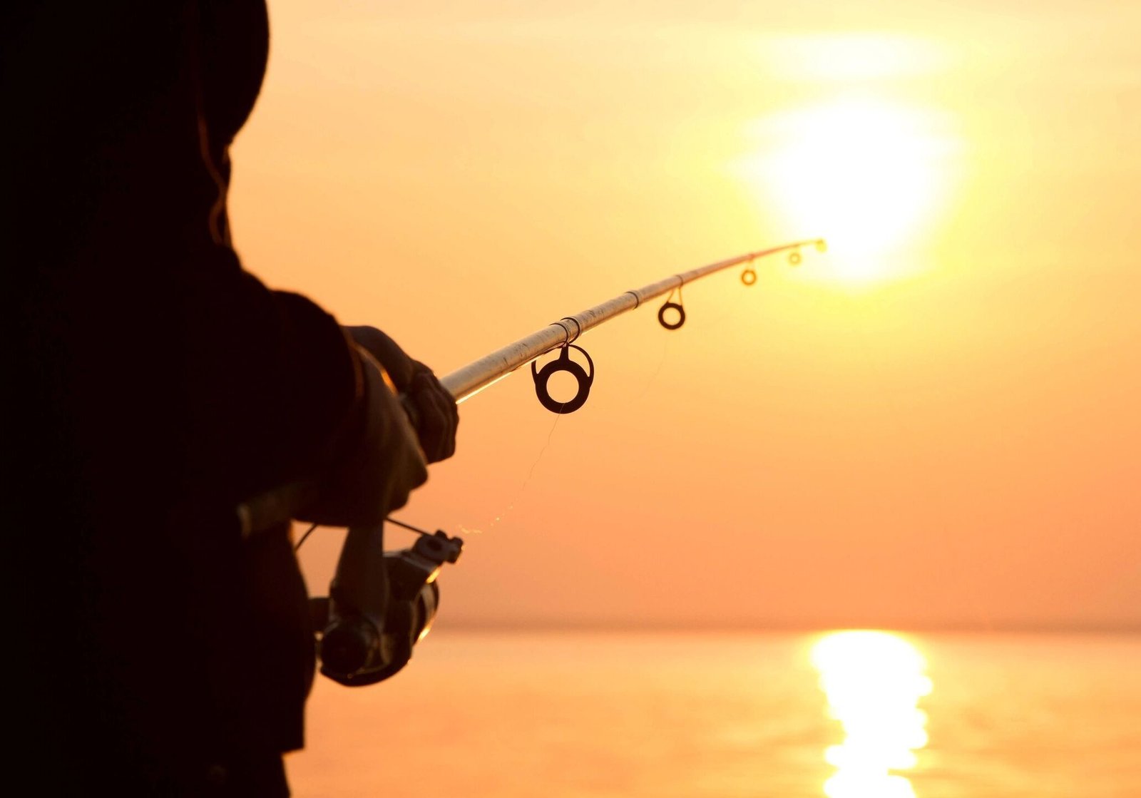 The working end of a guided day, photographed by Montauk Point Fly Fishing in NY