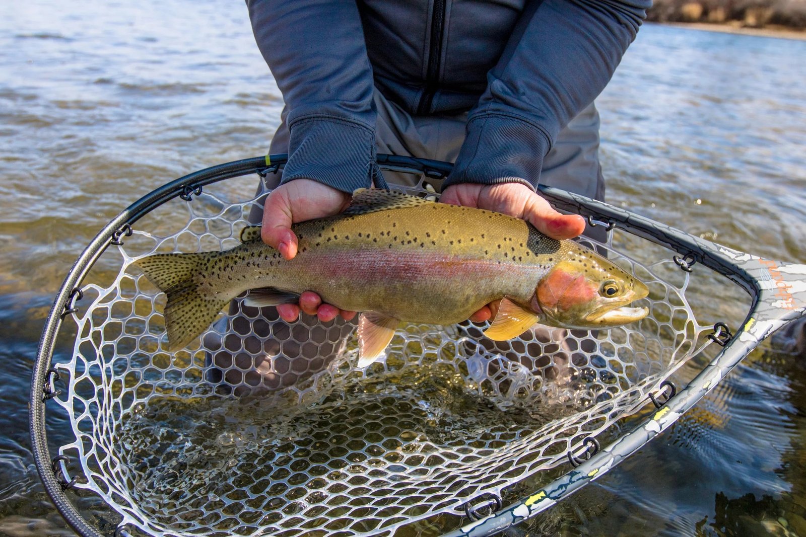 On the Caney Fork, photographed by Music City Anglers