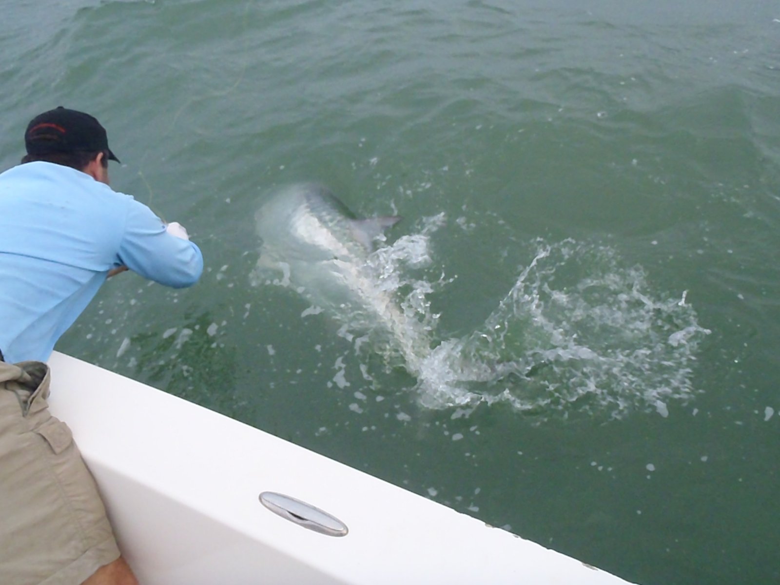 The working end of a guided day, photographed by Naples Saltwater Fishing in FL
