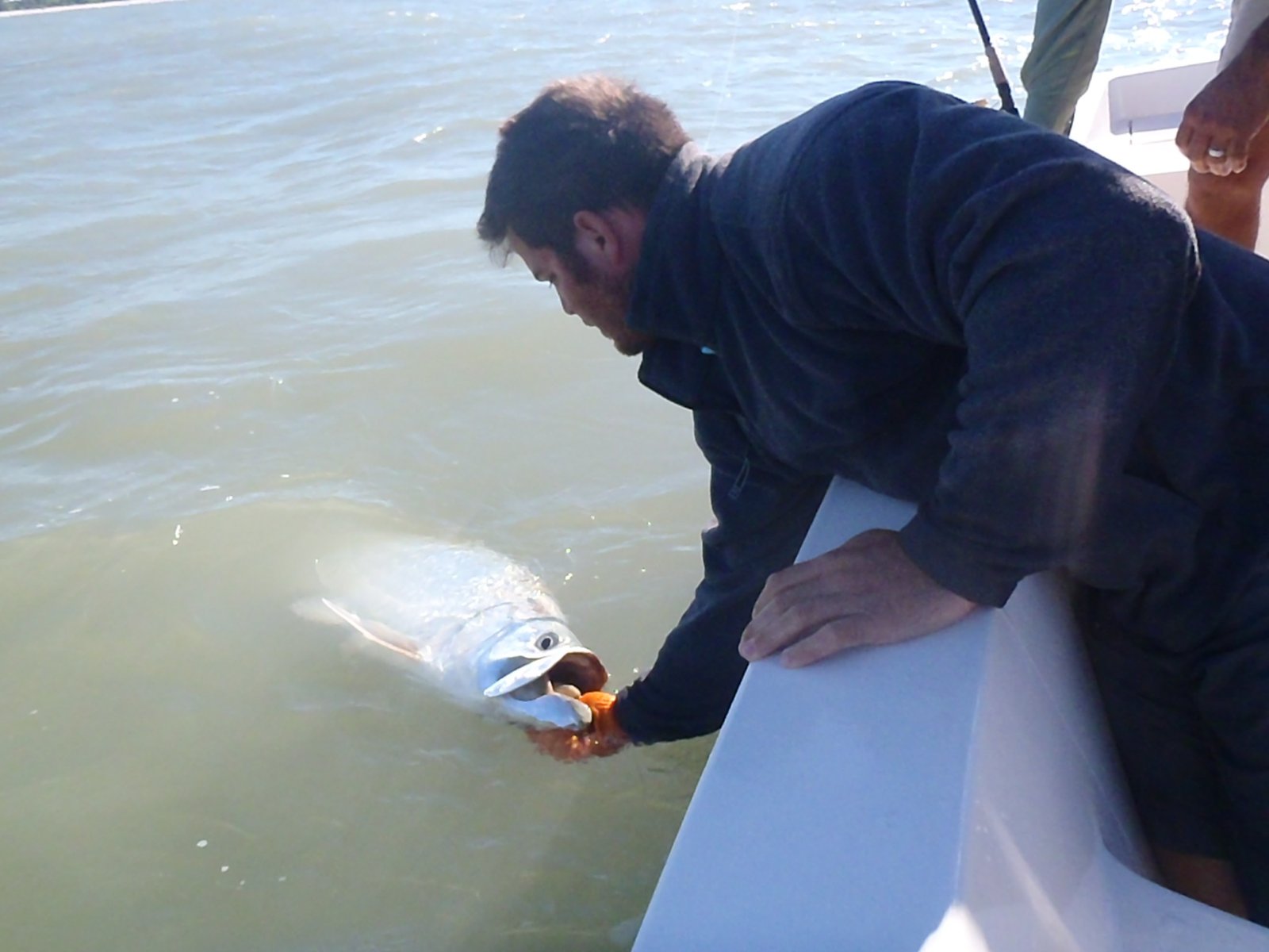 Naples Saltwater Fishing on the water in Florida