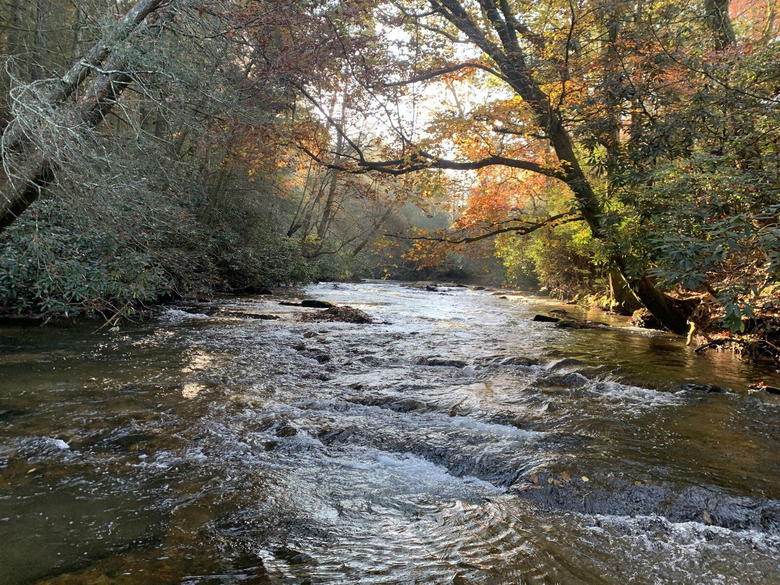On the Noontootla Creek, photographed by Noontootla Creek Farms