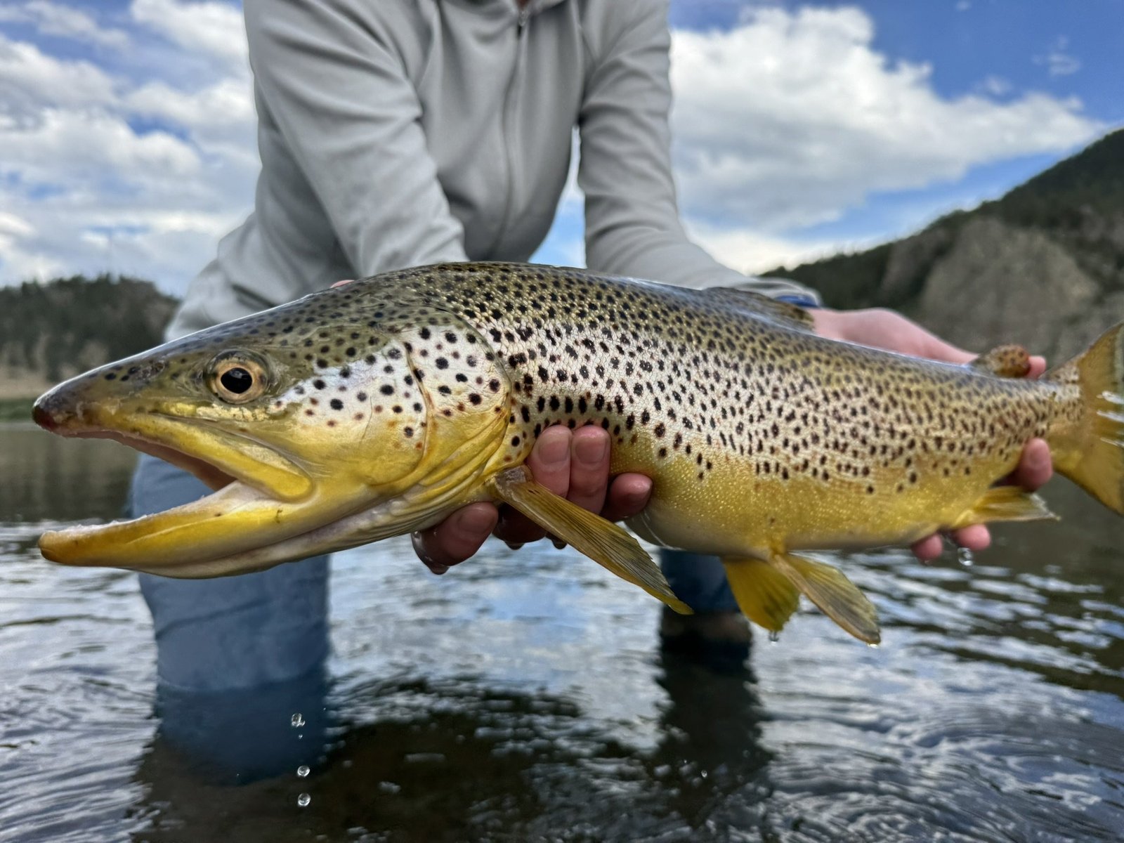 On DeMark Lodge on the water in Montana