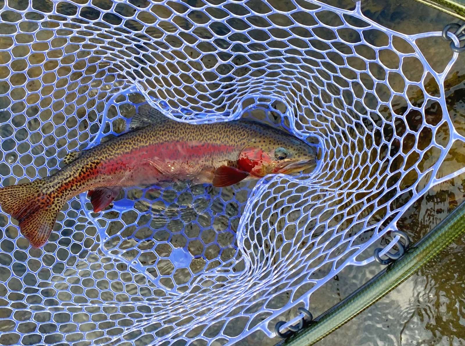 Over the River Guide Service on McKenzie River