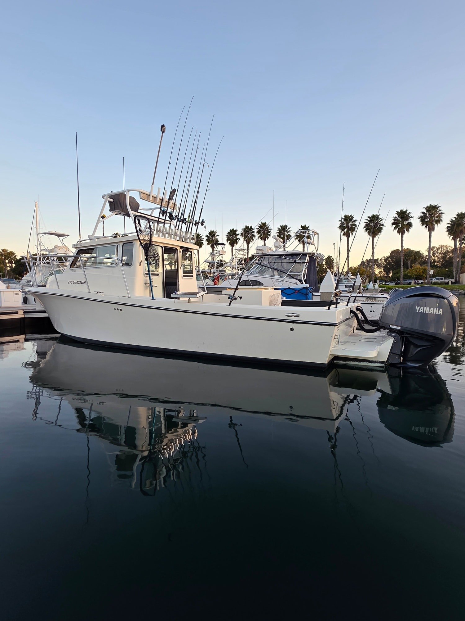 Pelican Sportfishing on La Jolla