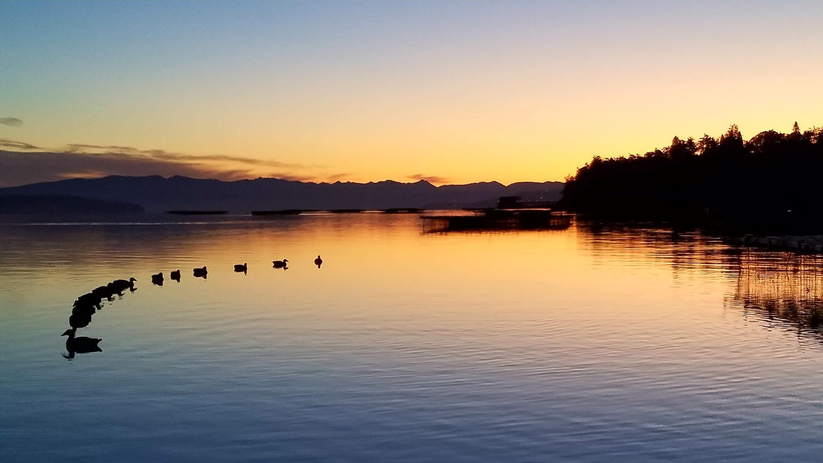 The working end of a guided day, photographed by Peninsula Sportsman in WA