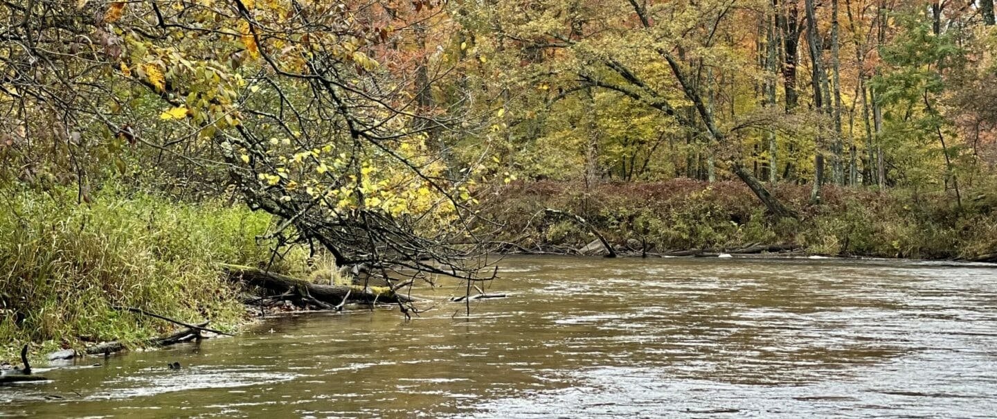 Pere Marquette River Lodge on Pere Marquette River