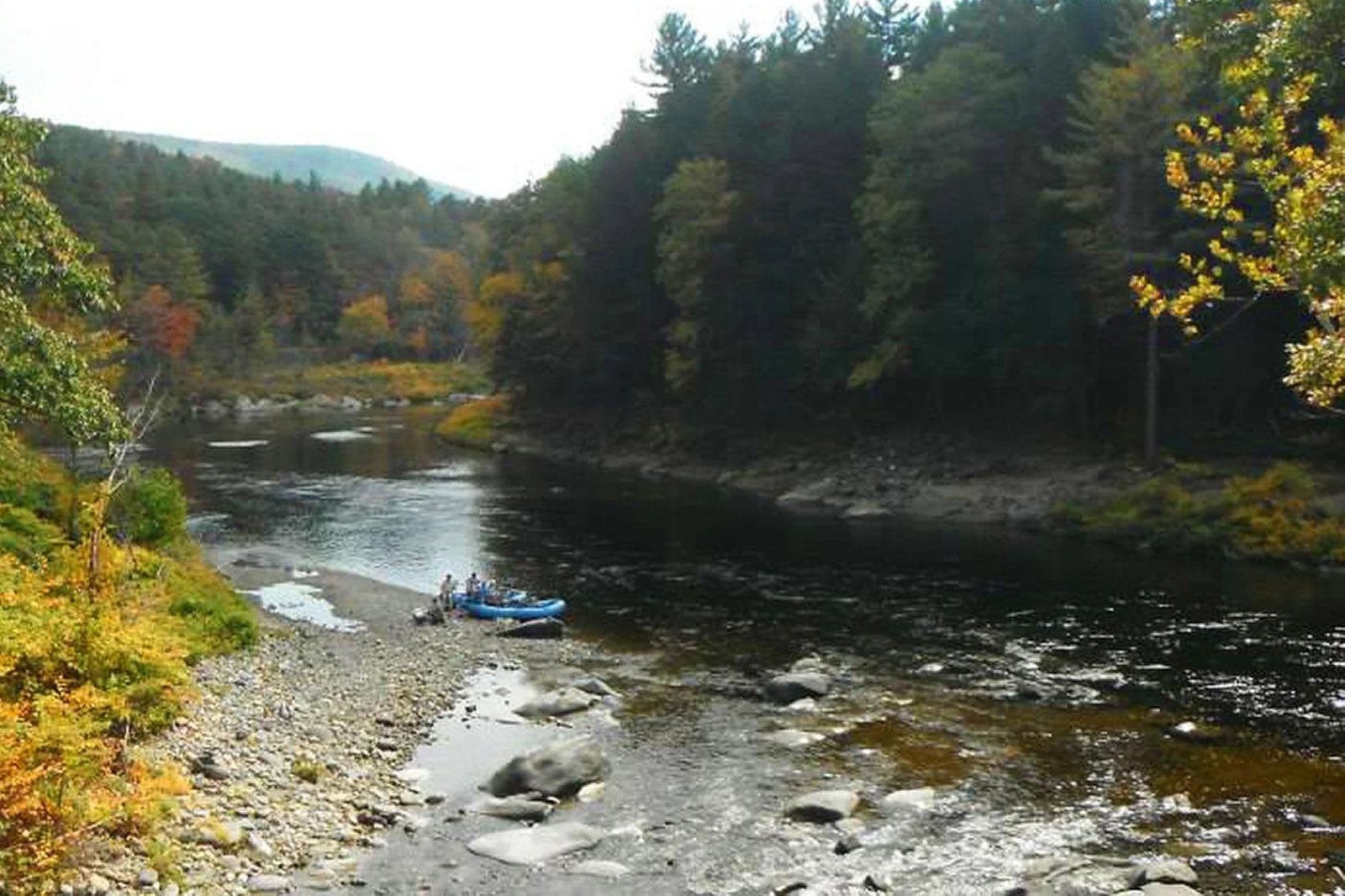 A guide at work during a trip, photographed by Pheasant Tail Tours in MA