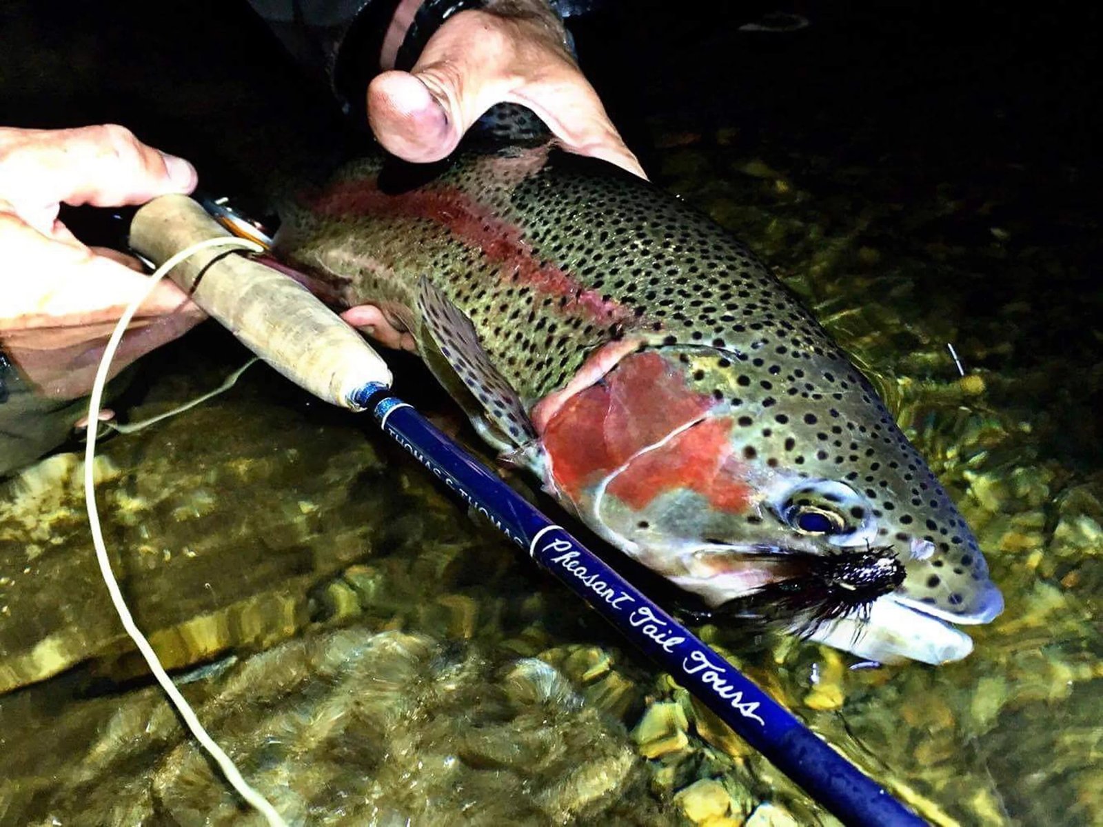 An on-the-water scene from a working guide operation, photographed by Pheasant Tail Tours in MA