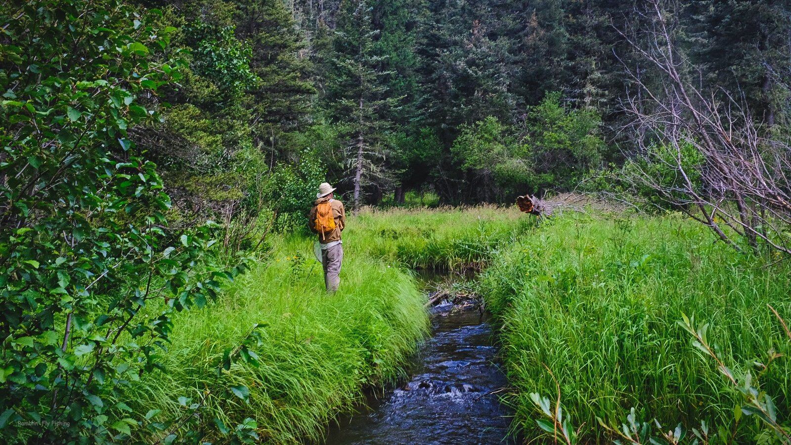 Ramblin' Fly Fishing on the water in New Mexico