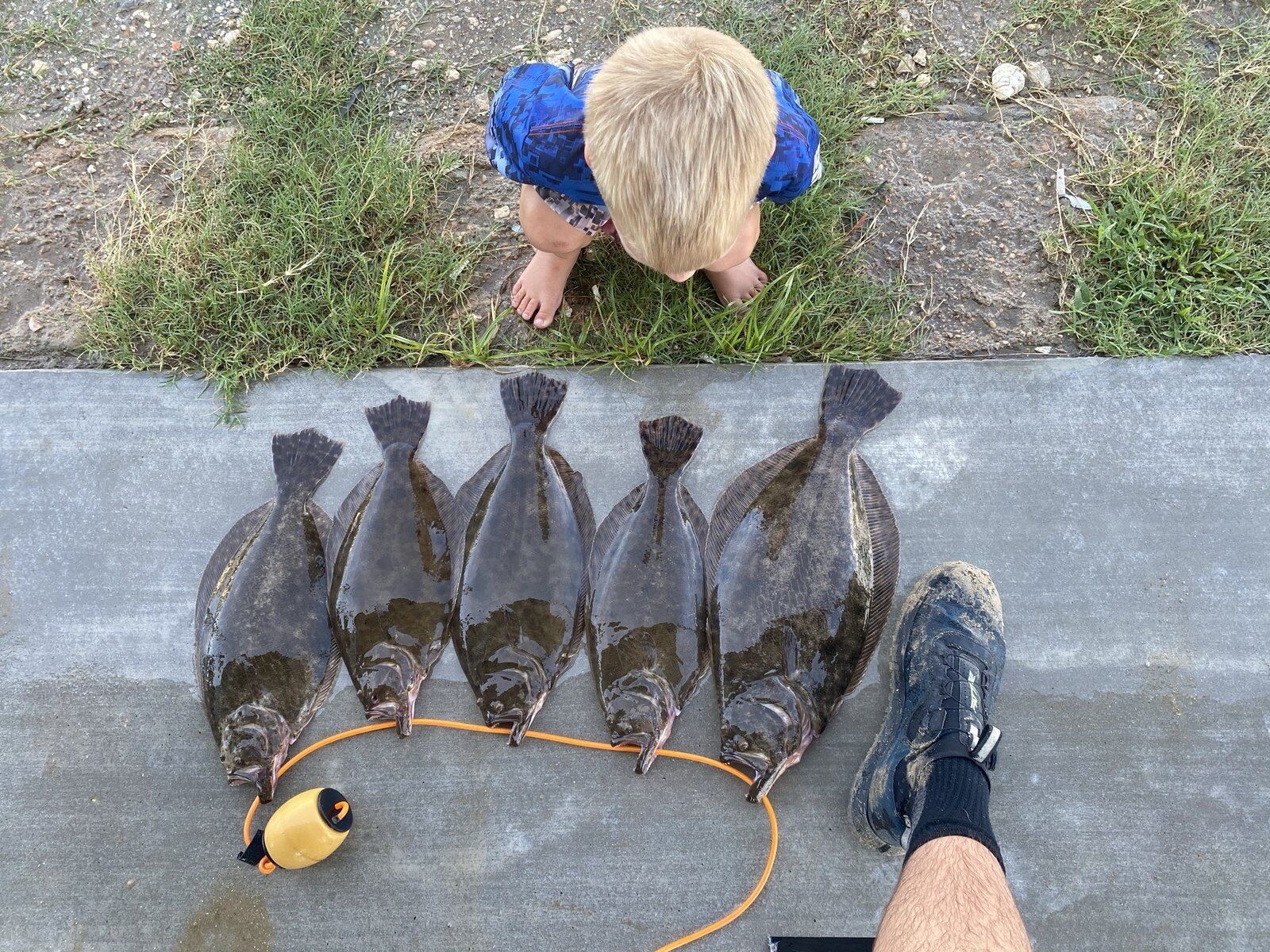 A guide's day in progress, photographed by Reel Bolivar Fishing Guide in TX