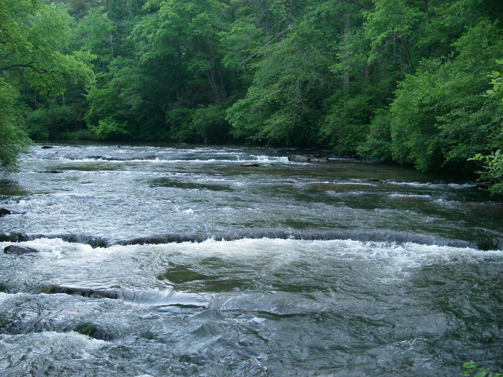 An angler and guide out on the water together, photographed by Reel 'Em In Guide Service in GA