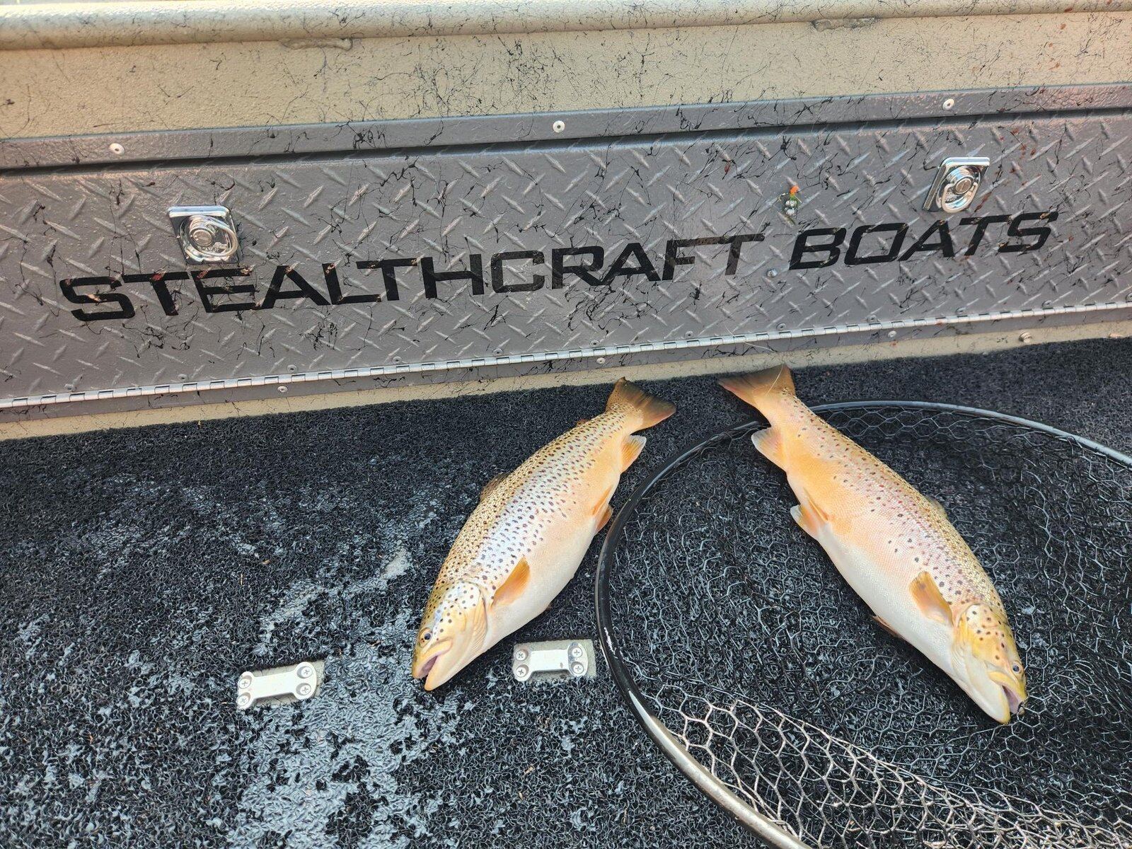 The working end of a guided day, photographed by Rippin Drag Charters in MI