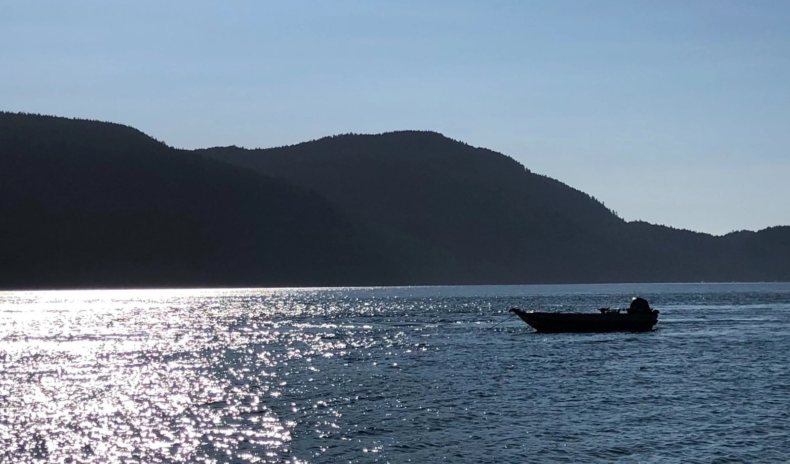 Salish Forager on Salish Sea