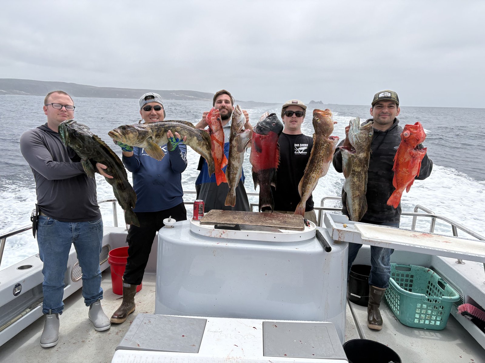 A guide at work during a trip, photographed by Santa Barbara Sea Charters in CA
