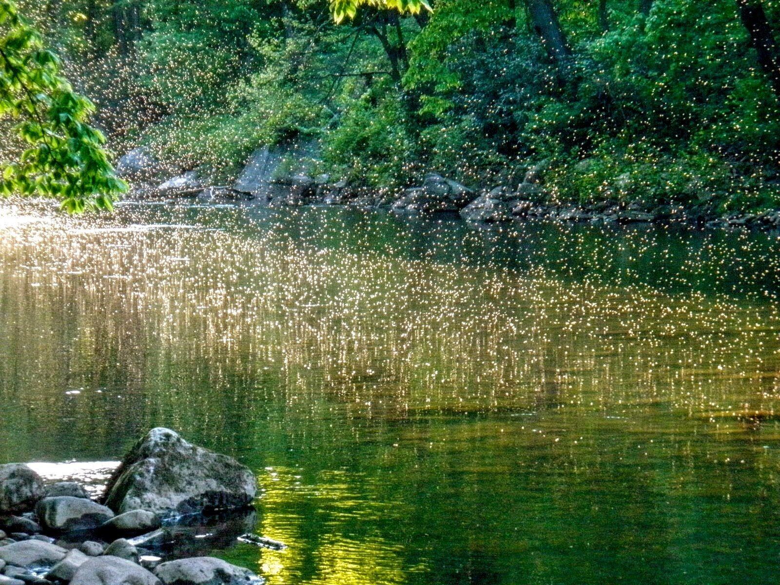 A guided day underway, photographed by Savage River Outfitters in MD