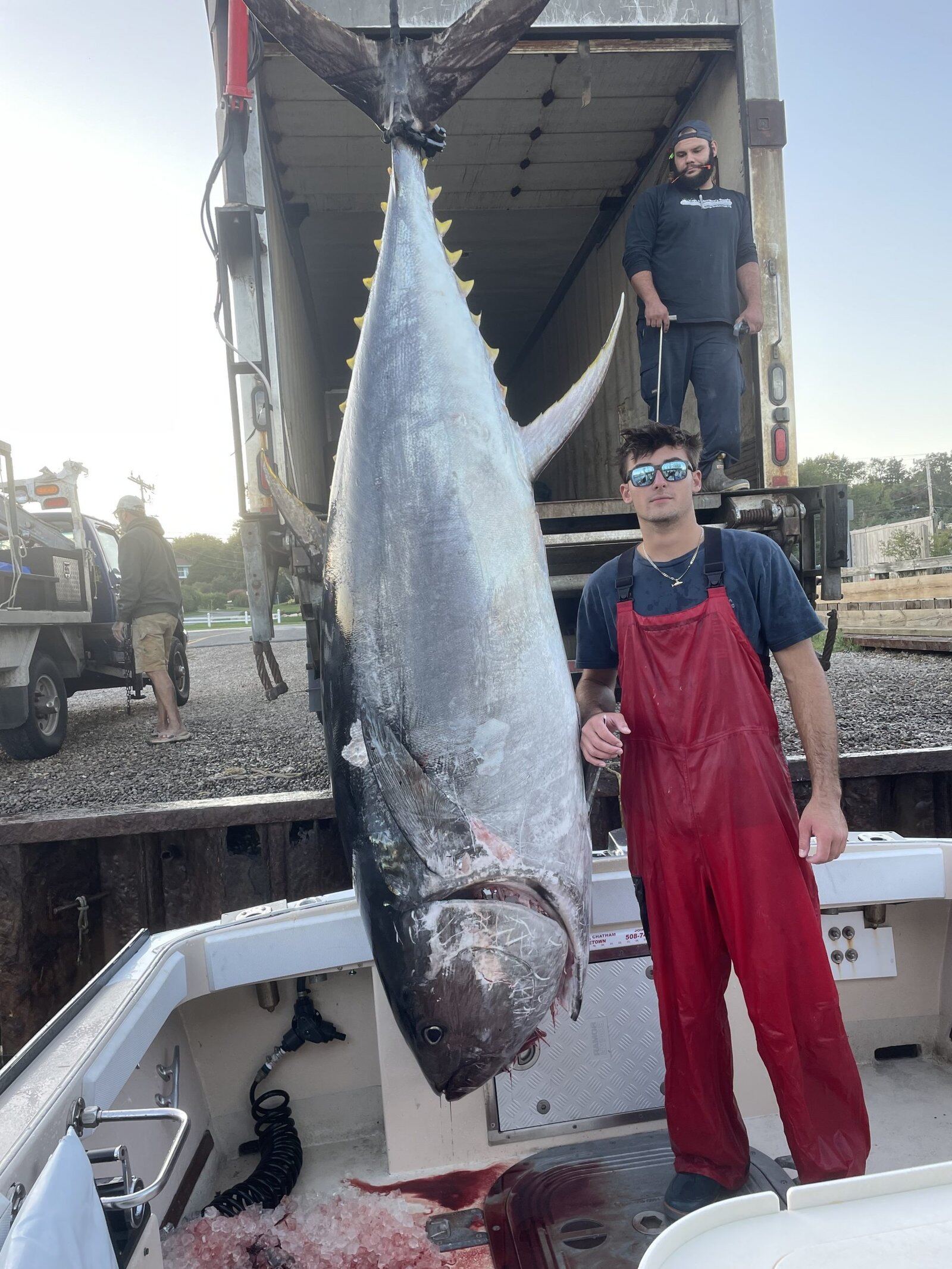 Shark Shark Tuna on the water in Massachusetts