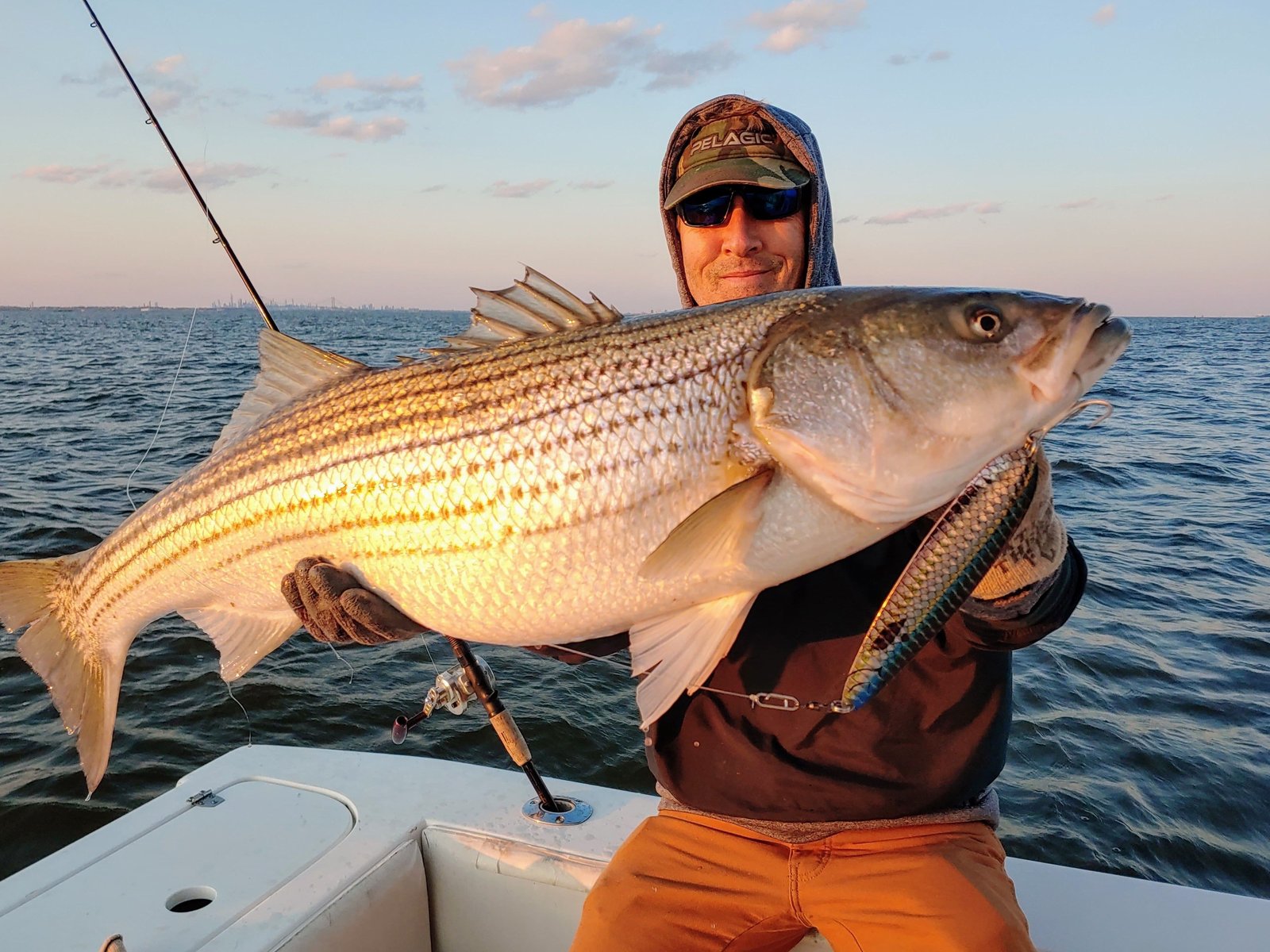 The working end of a guided day, photographed by Shore Catch Guide Service in NJ